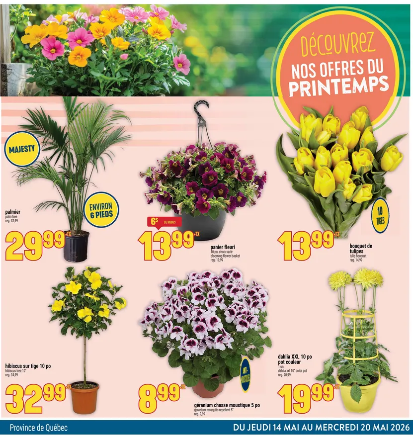 Adonis Sales from May 14 to May 20 2026 - flyer page 7