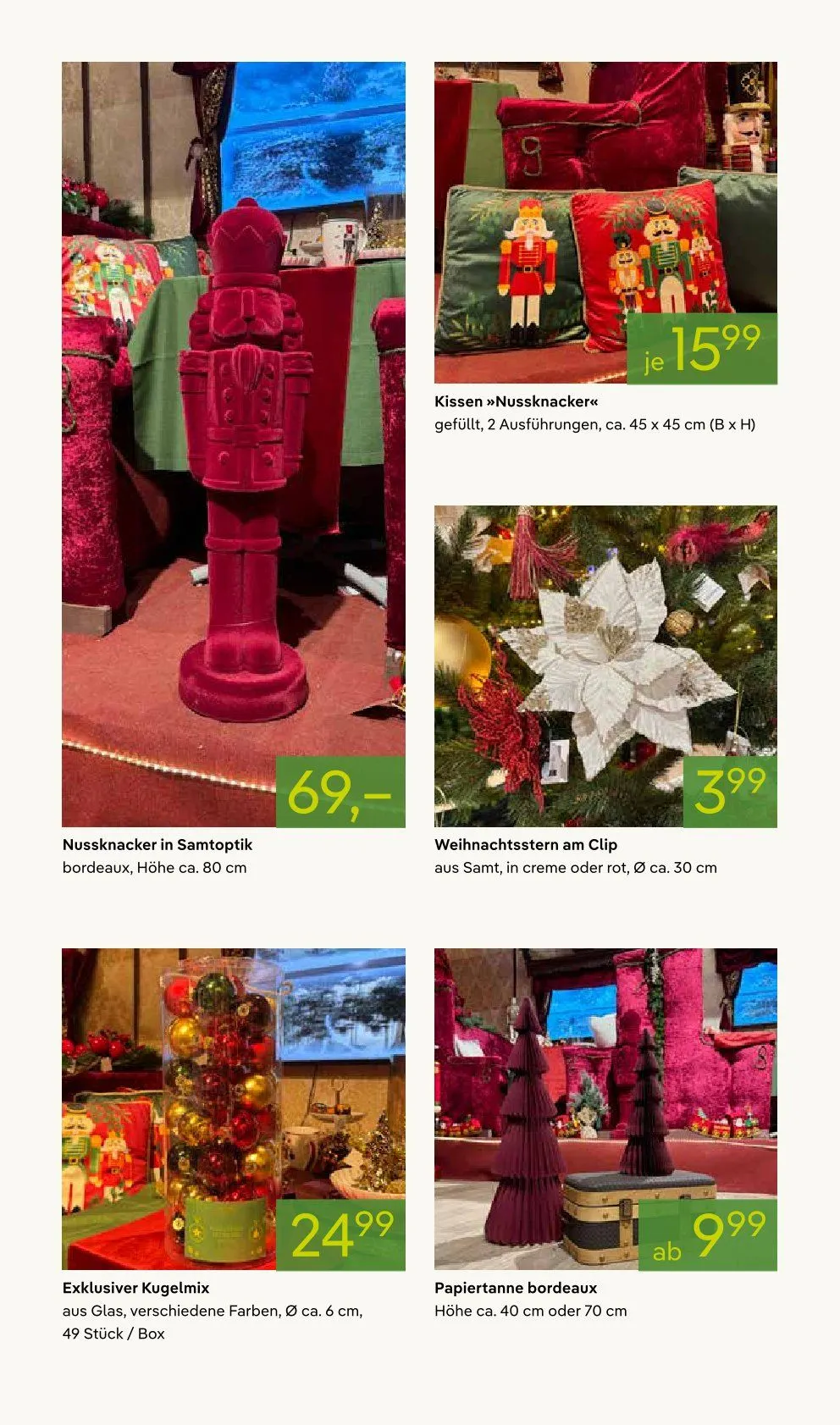 Pflanzen-Kölle Angebote von 11. November bis 25. Dezember 2025 - Prospekt seite 7