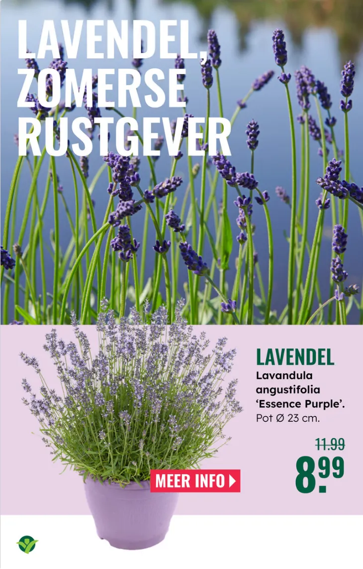 GroenRijk folders van 7 mei tot 13 mei 2026 - Folder pagina 7