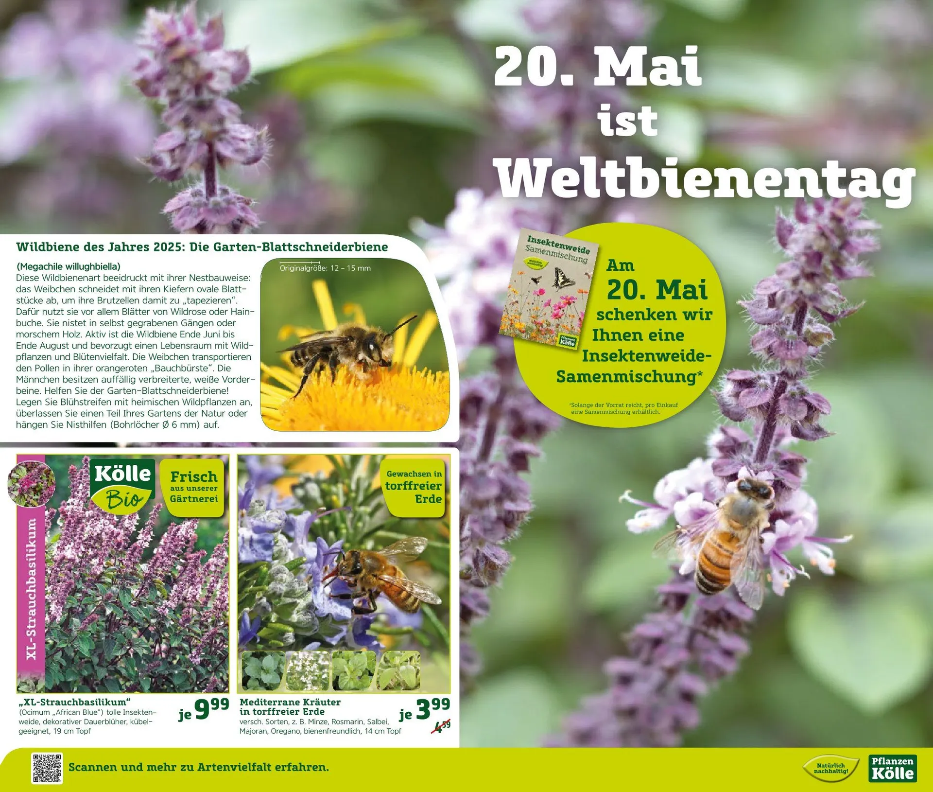 Pflanzen-Kölle Prospekte von 16. Mai bis 18. Mai 2025 - Prospekt seite 3