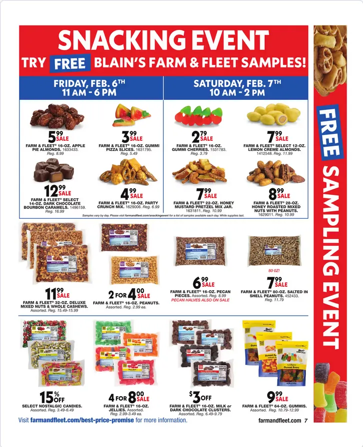 Weekly ad Blain's Farm & Fleet Sales from January 29 to February 11 2026 - Page 7