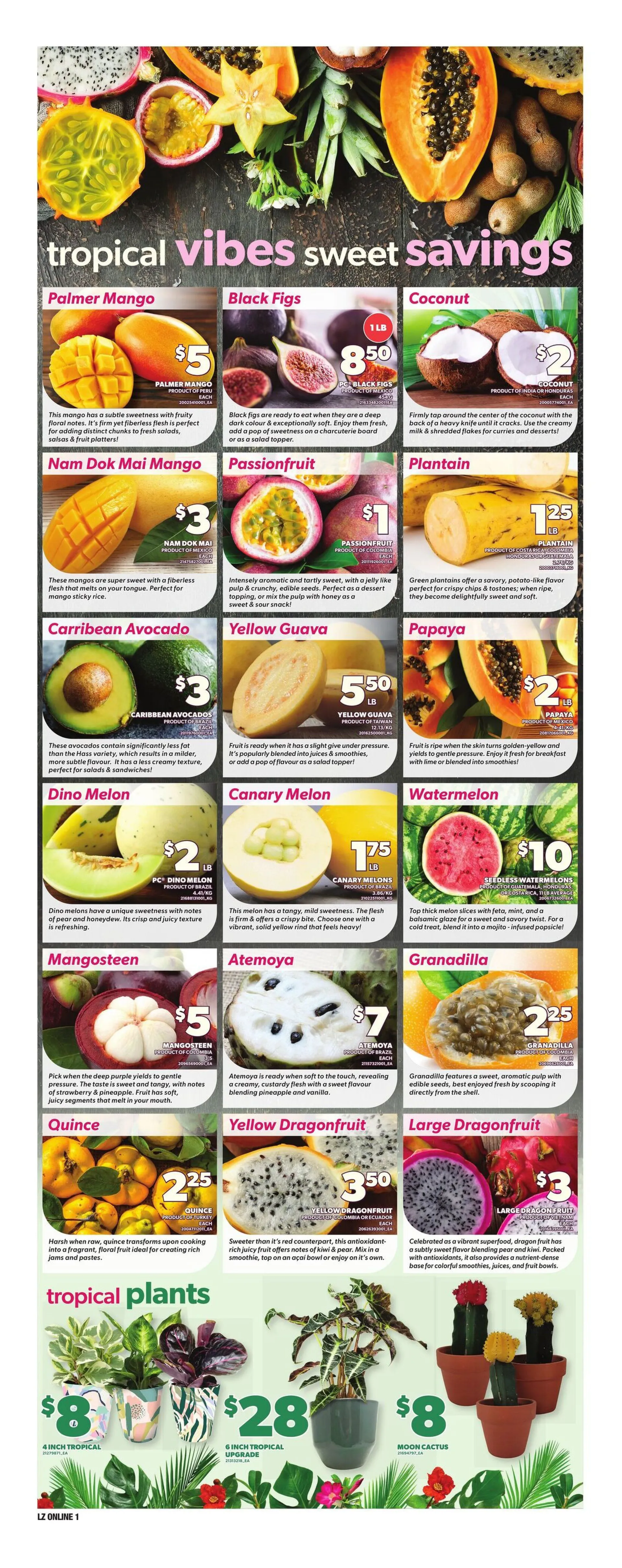 Zehrs Sales from February 26 to March 4 2026 - flyer page 7