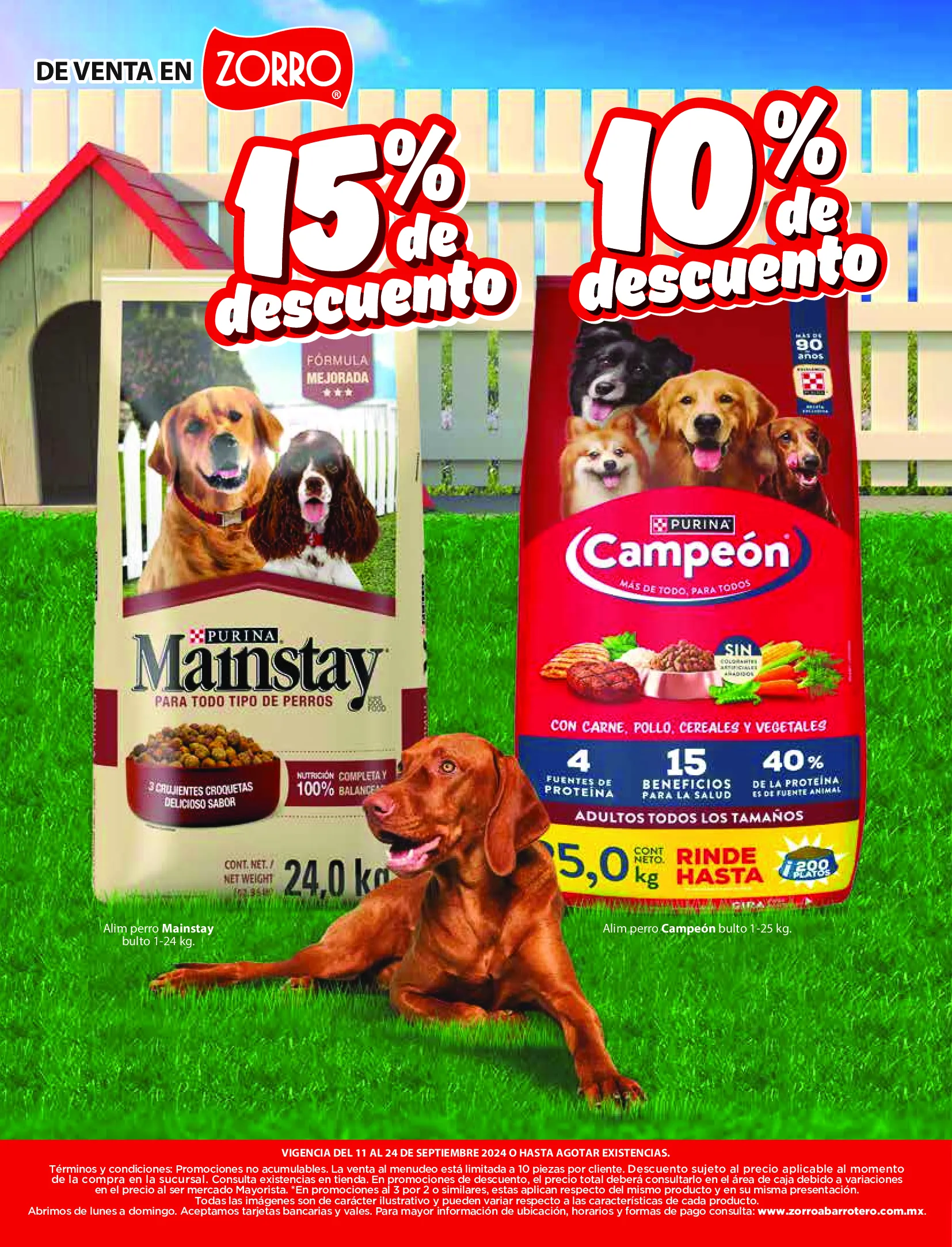 Catálogo de Oferta actual: Zorro 11 de septiembre al 24 de septiembre 2024 - Pagina 31