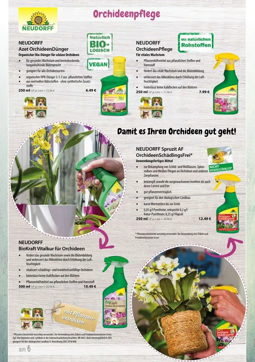 KIEBITZMARKT Angebote von 15. Mai bis 21. Mai 2026 - Prospekt seite 6