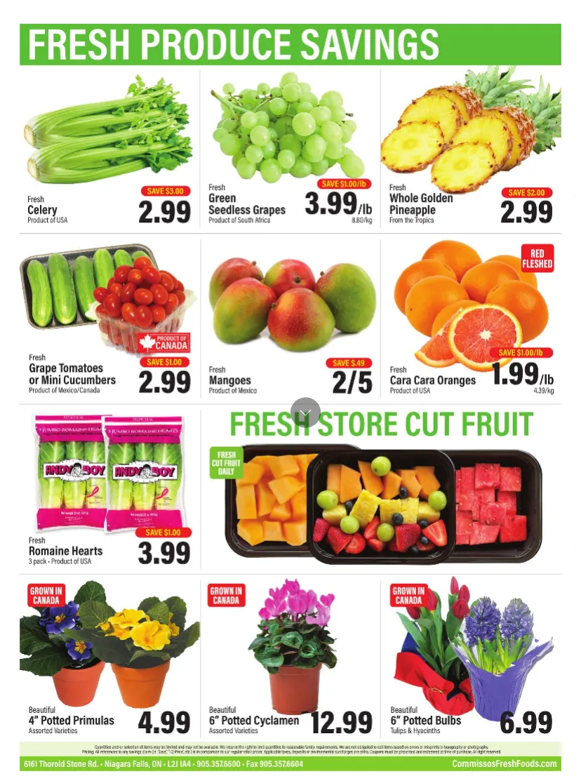 Commisso's Fresh Foods Sales from January 23 to January 29 2026 - flyer page 8