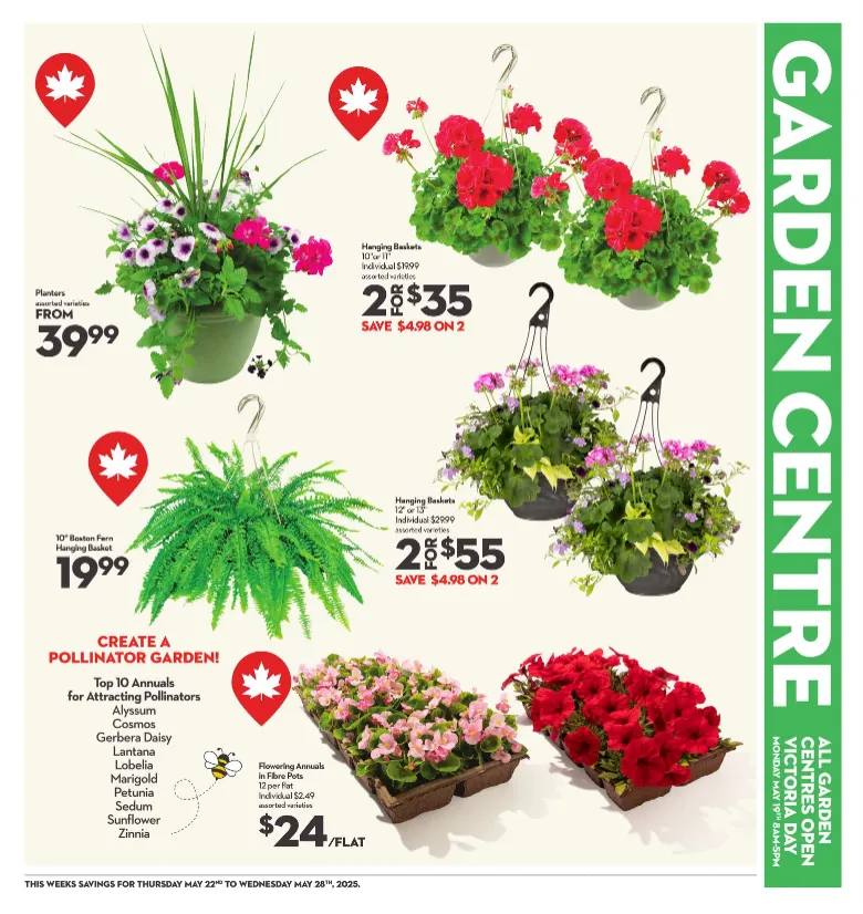 Longo's flyers from May 22 to May 28 2025 - flyer page 7