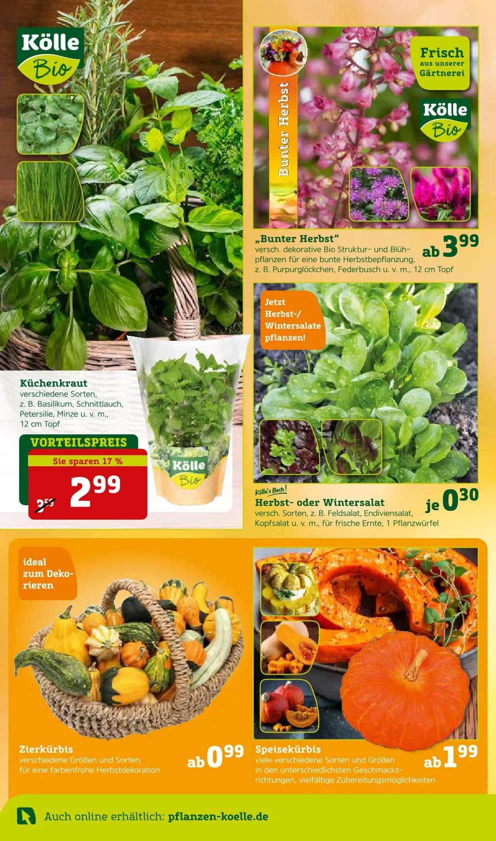  Prospekt Pflanzen-Kölle von 8. September bis 14. September 2025 - Prospekt seite 8