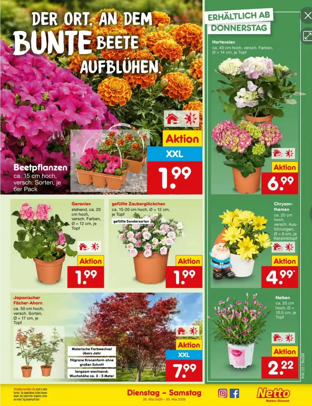 Netto Marken-Discount folders van 26 mei tot 30 mei 2026 - Folder pagina 8