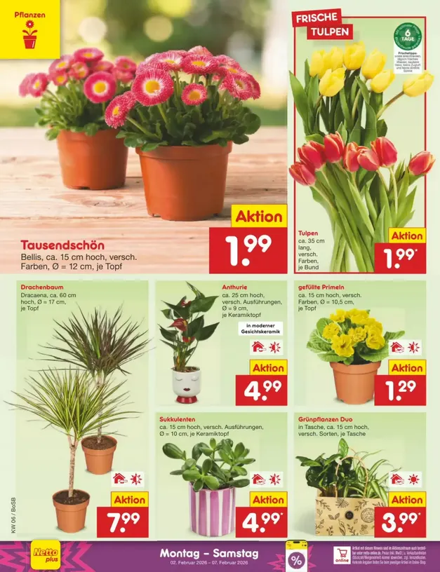 Netto Marken-Discount folders van 2 februari tot 7 februari 2026 - Folder pagina 8
