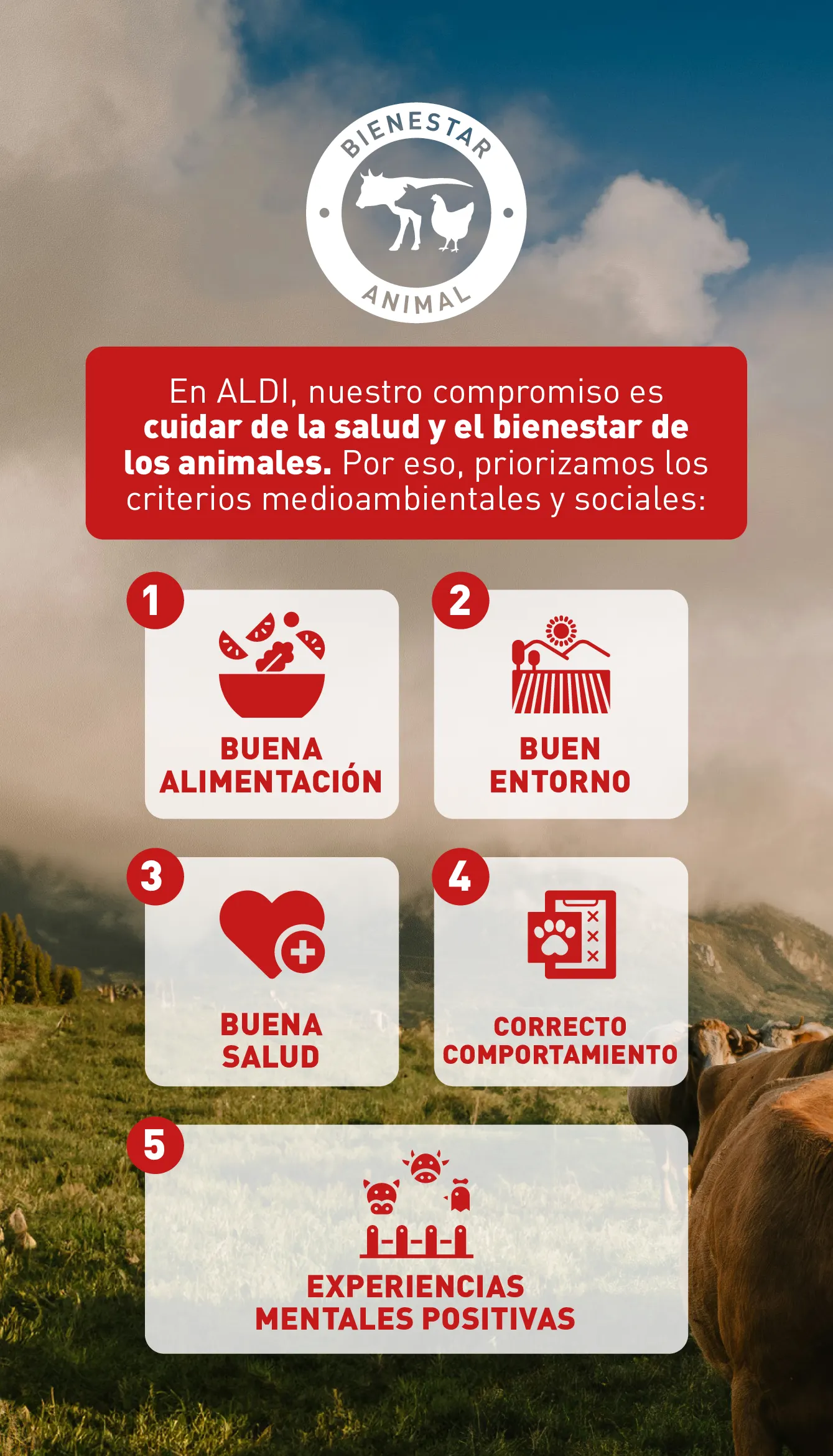 Catálogo de Aldi Ofertas 11 de septiembre al 17 de septiembre 2024 - Página 8