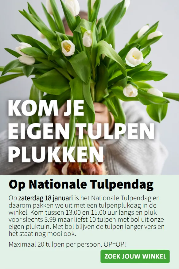 Intratuin Aanbiedingen van 8 januari tot 12 januari 2025 - Folder pagina 7