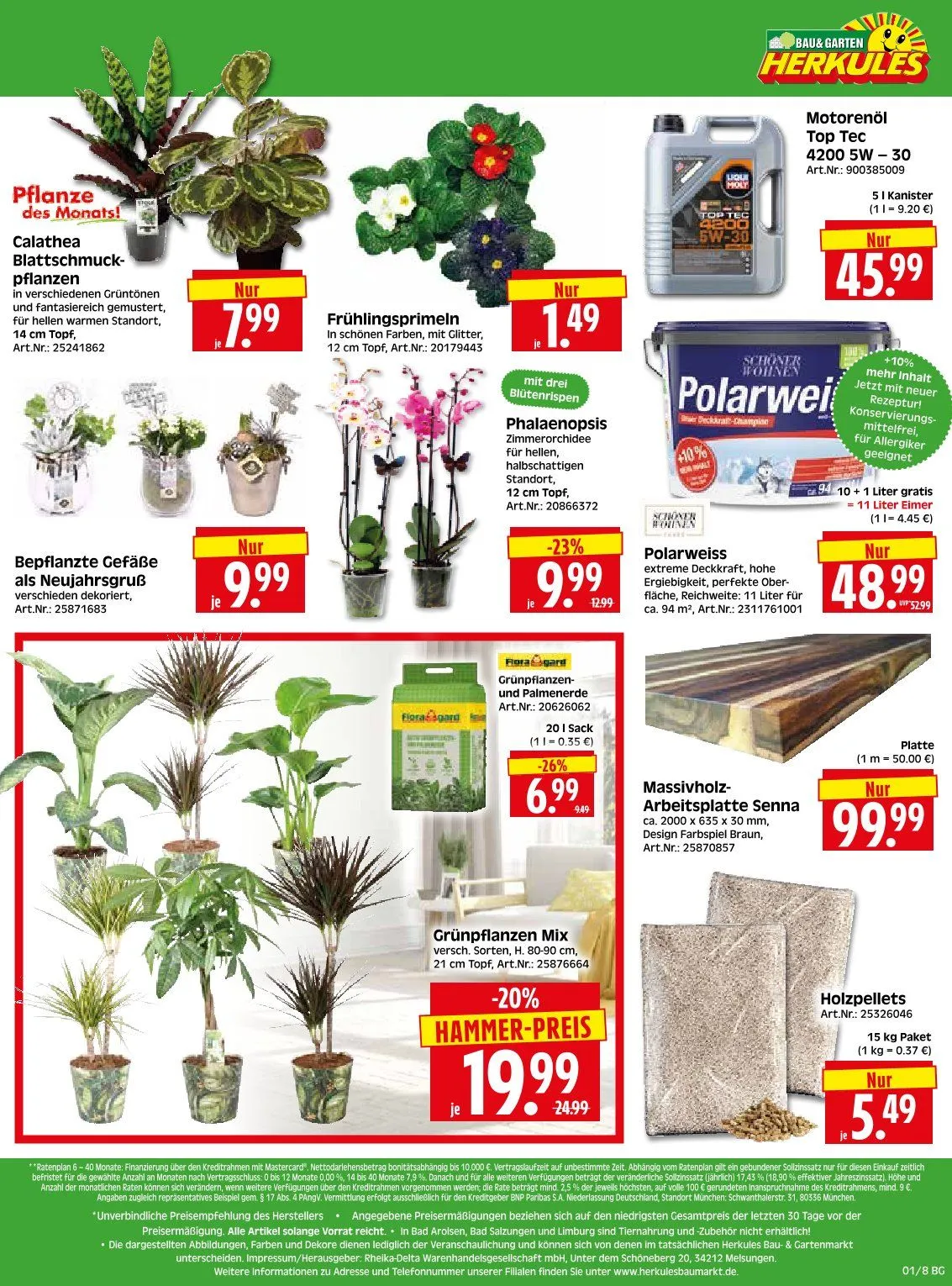 Herkules Baumarkt Angebote von 29. Dezember bis 5. Januar 2026 - Prospekt seite 8