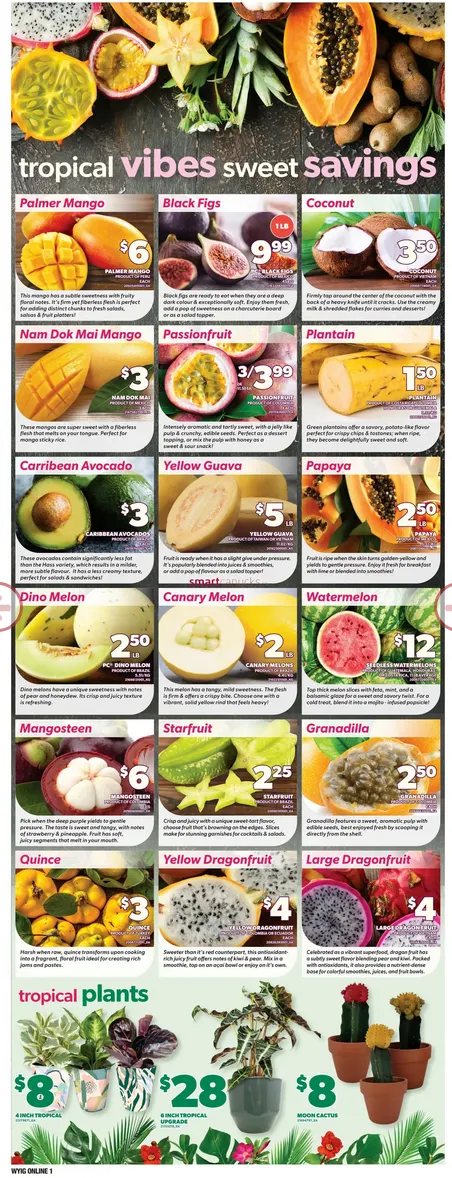 Independent Sales from February 26 to March 4 2026 - flyer page 8