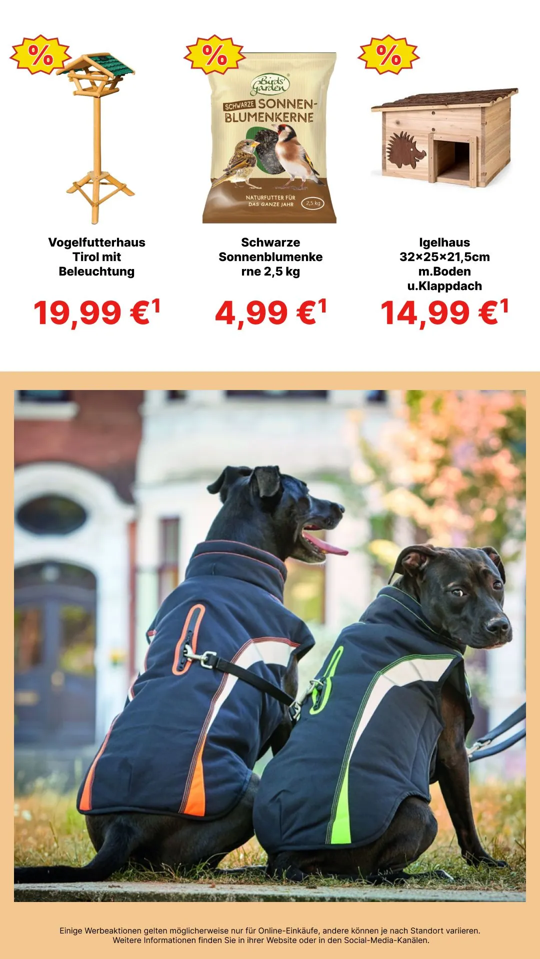 Jawoll Prospekte von 23. Mai bis 6. Juni 2025 - Prospekt seite 7