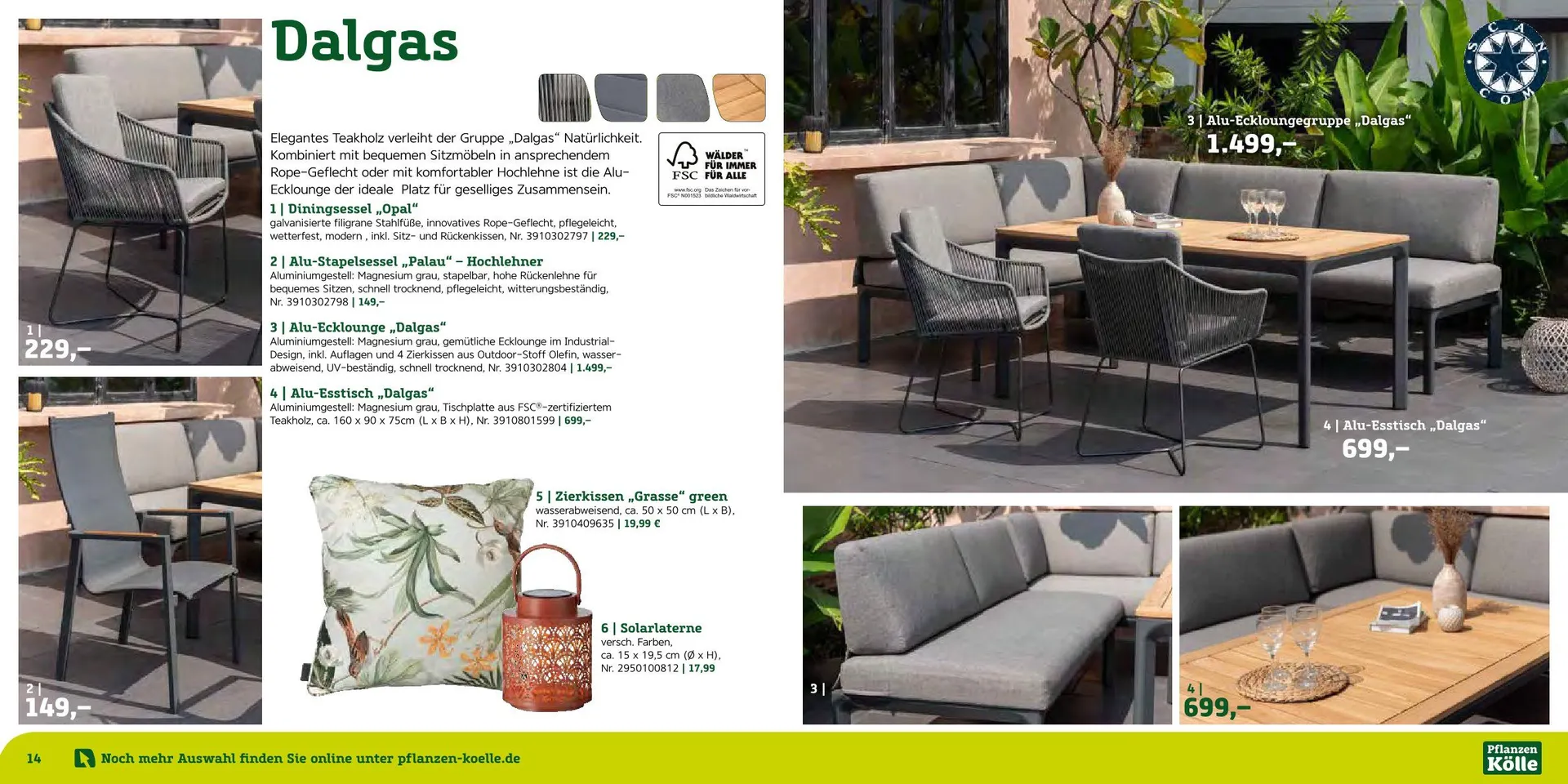 Prospekt Pflanzen-Kölle von 12. August bis 7. September 2025 - Prospekt seite 8