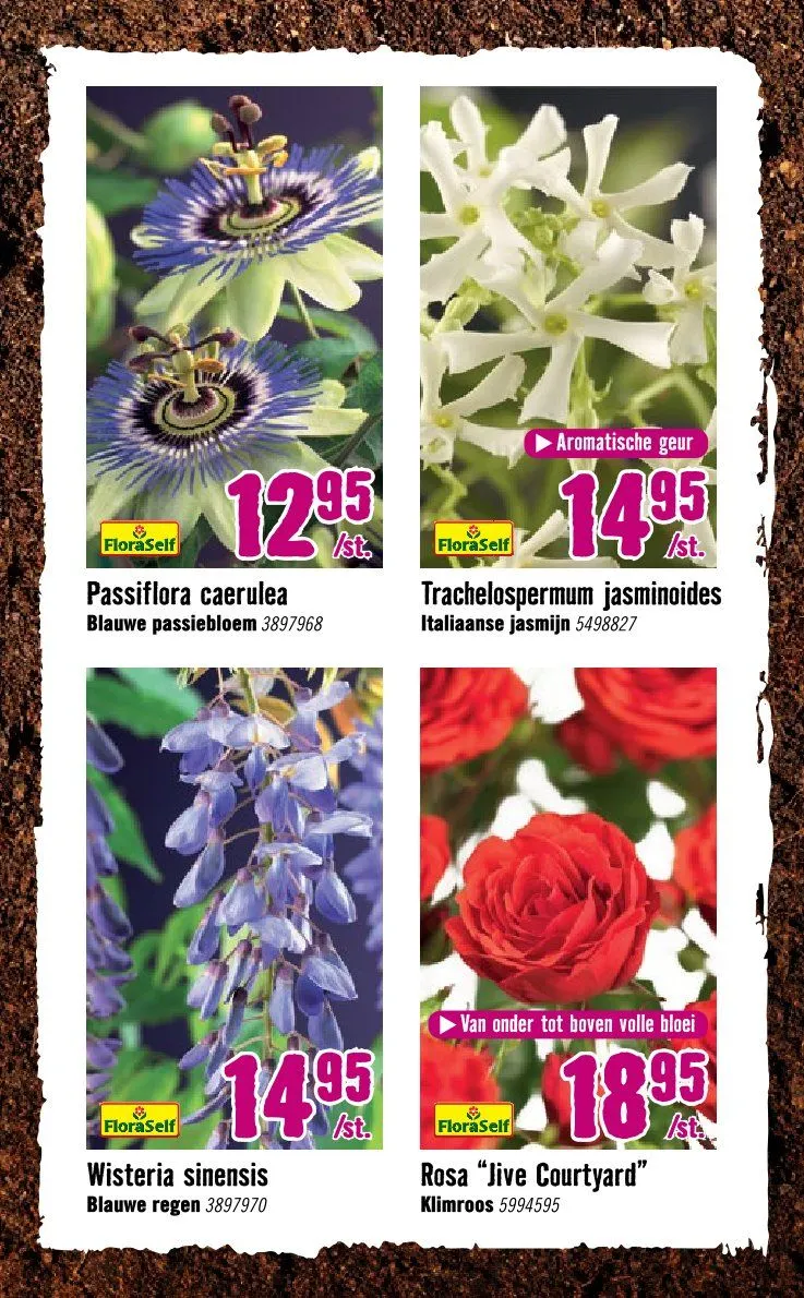 Hornbach folders van 8 april tot 3 mei 2026 - Folder pagina 8