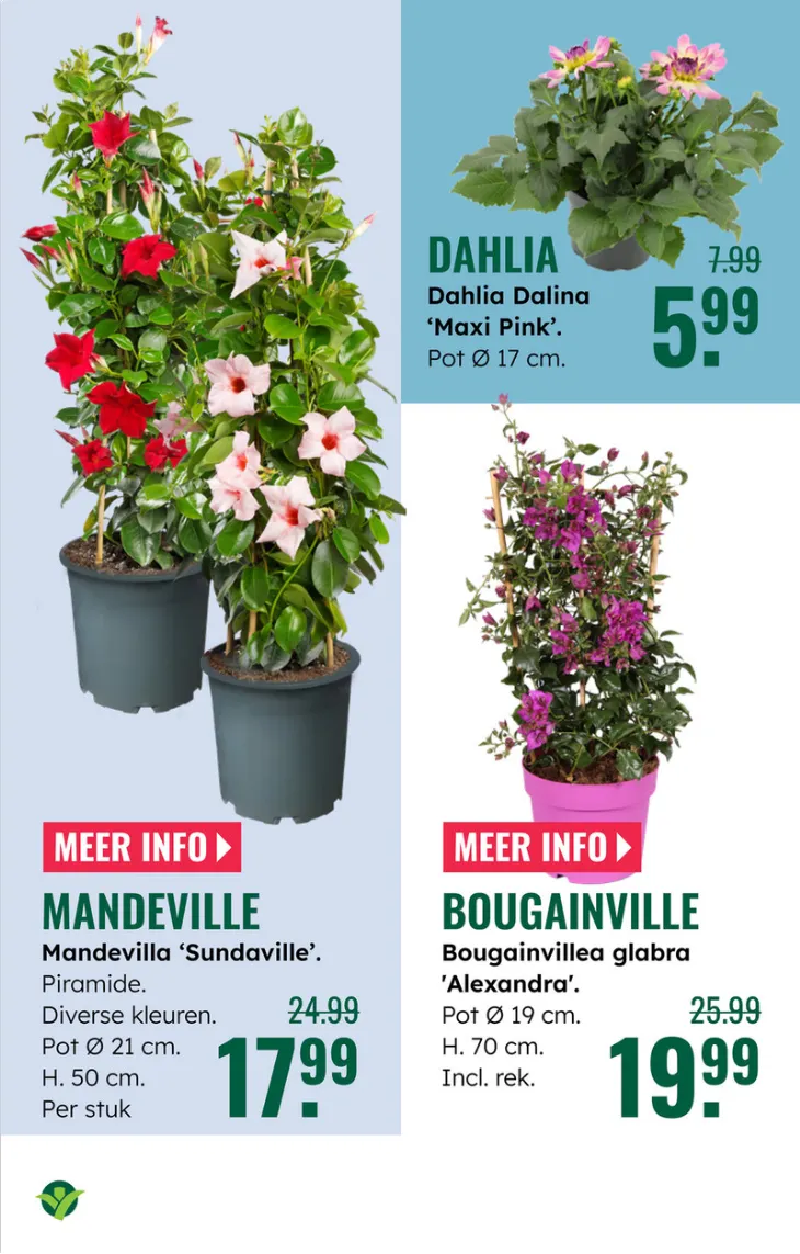 GroenRijk folders van 7 mei tot 13 mei 2026 - Folder pagina 8