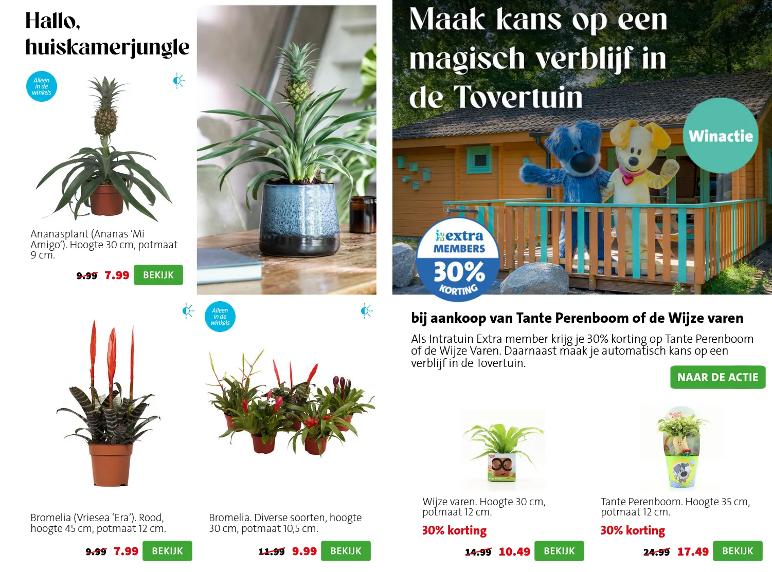 Intratuin folders van 6 april tot 12 april 2026 - Folder pagina 8