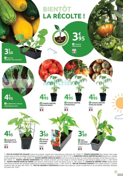 Mr. Bricolage Angebote du 9 avril au 26 avril 2026 - Catalogue page 8