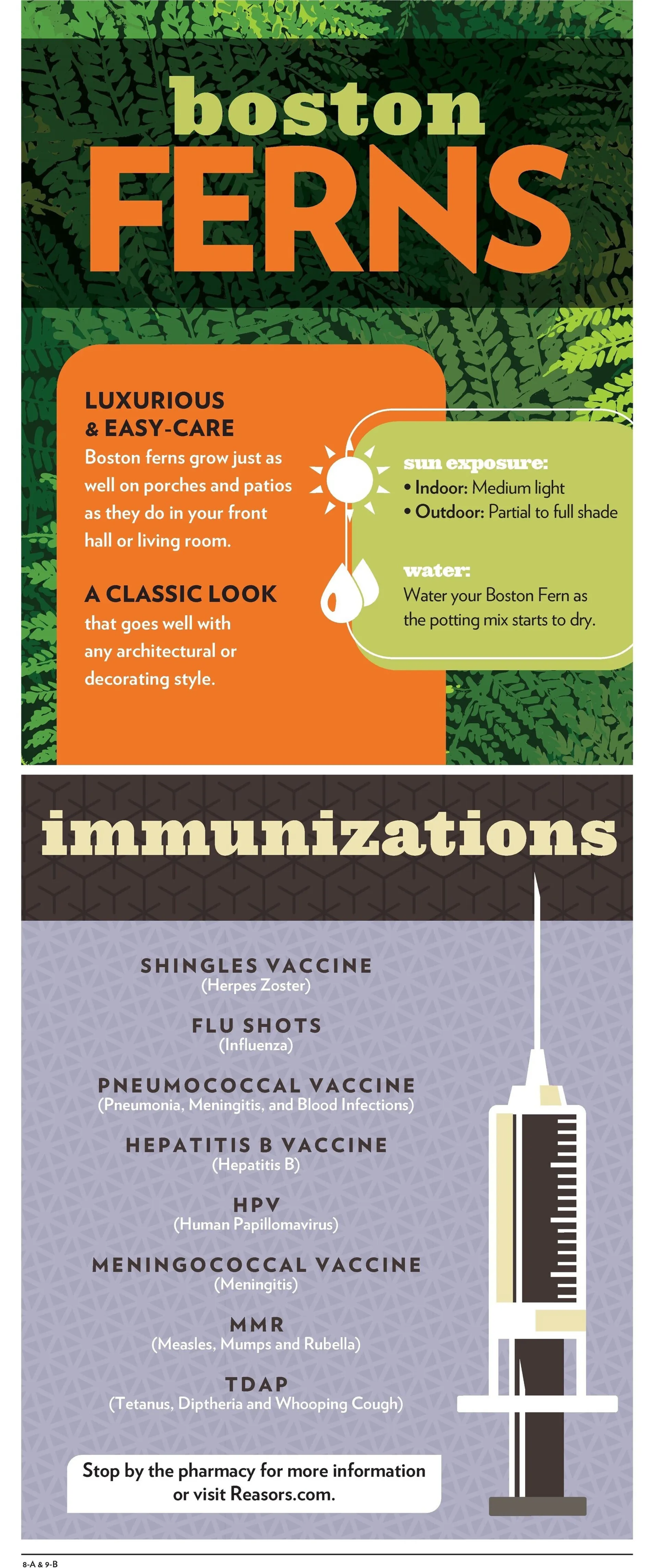 Weekly ad Reasor's Deals from March 26 to April 1 2025 - Page 8