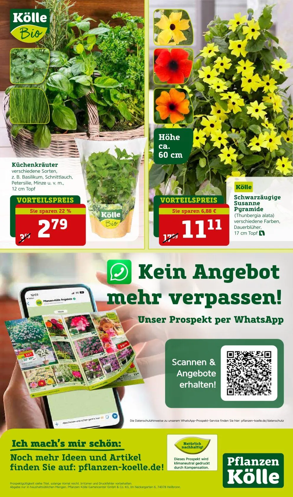 Pflanzen-Kölle Prospekte von 16. Mai bis 18. Mai 2025 - Prospekt seite 2