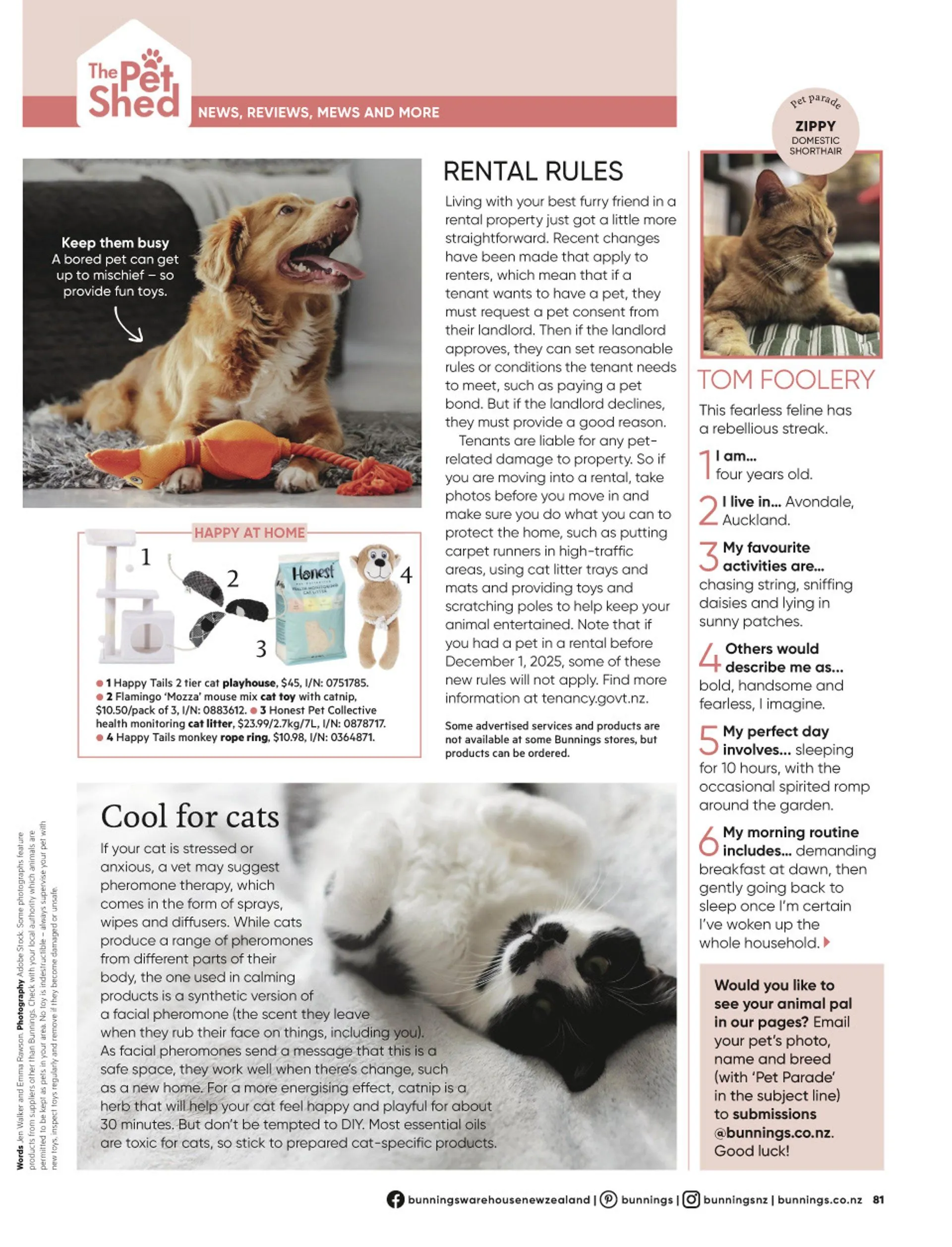 Bunnings weekly ads from 19 May to 31 July 2026 - Catalogue Page 81
