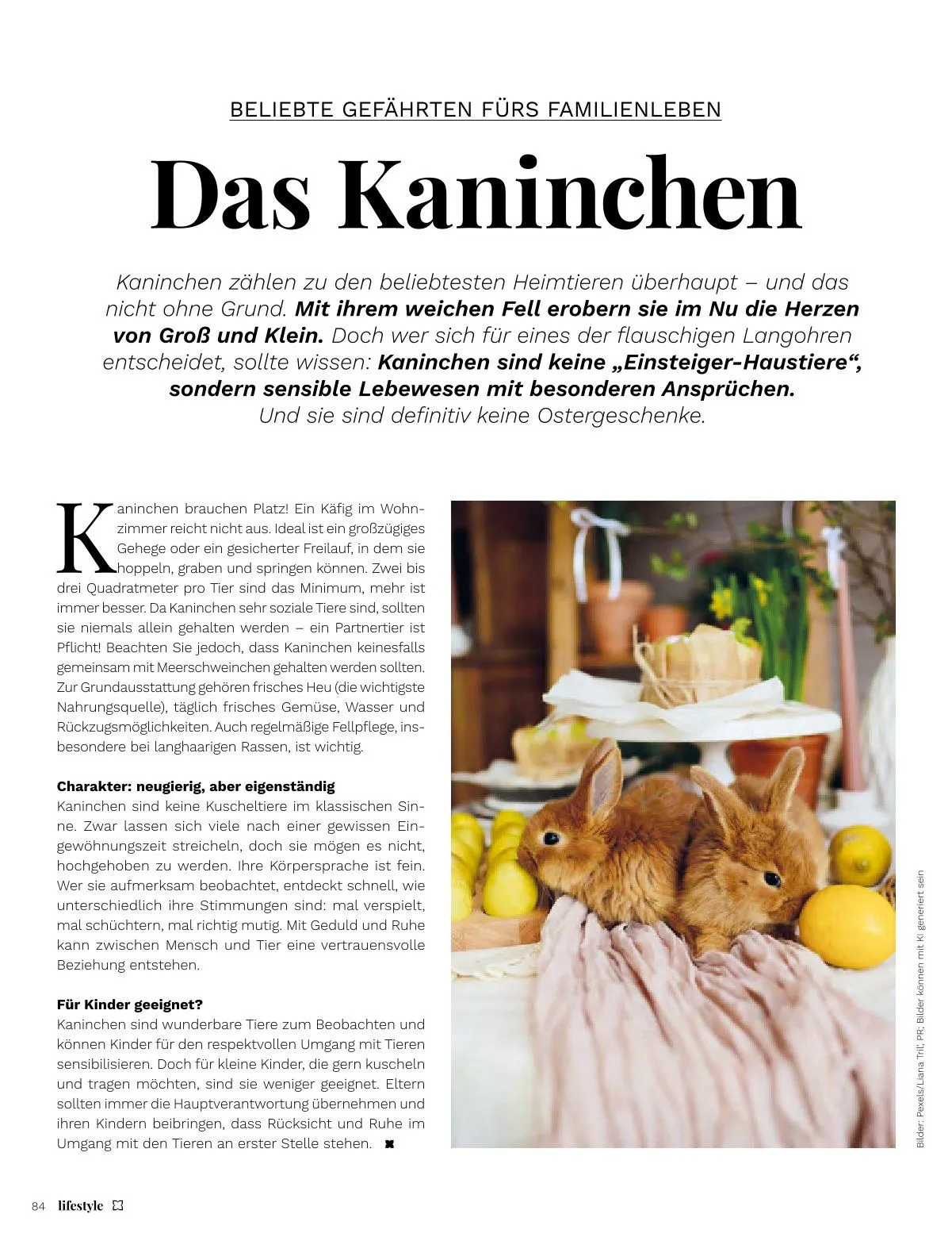 Rabatte von 1. April bis 30. April 2026 - Prospekt seite 84