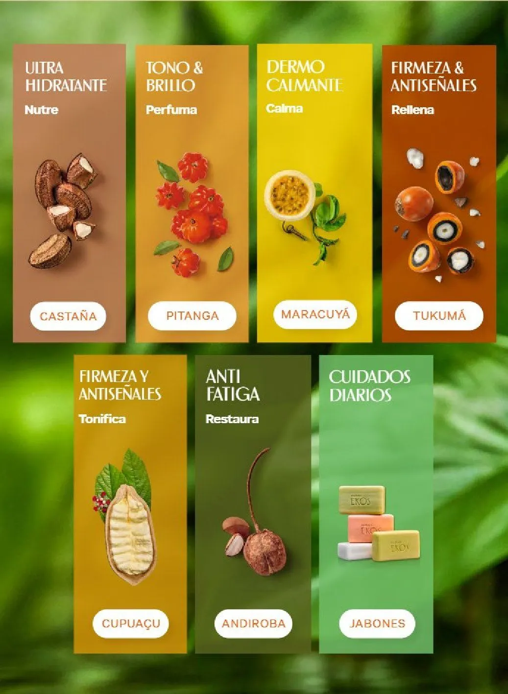 Catálogo de Natura ciclo 10 2 de junio al 31 de julio 2026 - Pagina 85