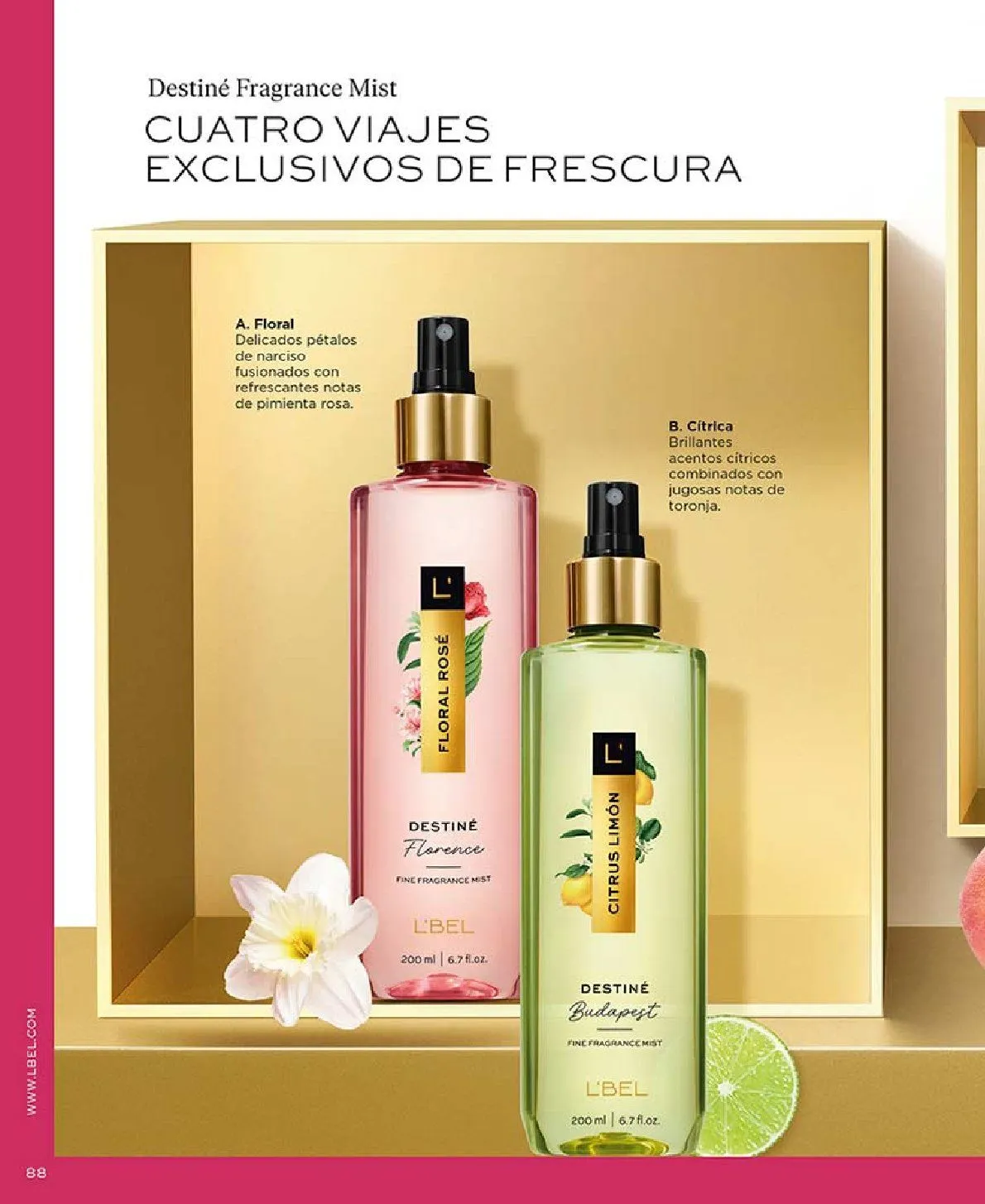 Catálogo de L'Bel catálogos y ofertas 1 de julio al 1 de agosto 2025 - Pagina 26