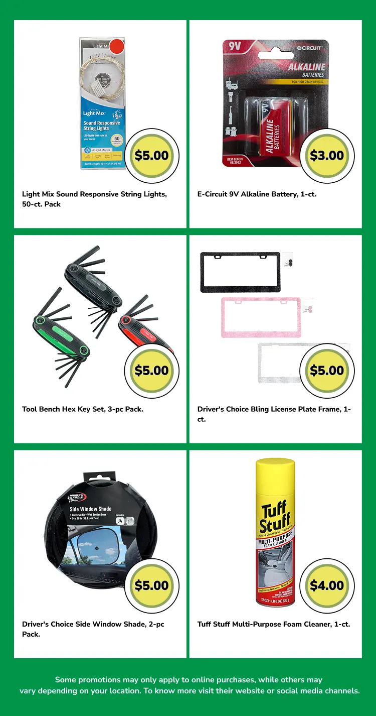 Weekly ad Dollar Tree Sales from June 8 to June 22 2026 - Page 9