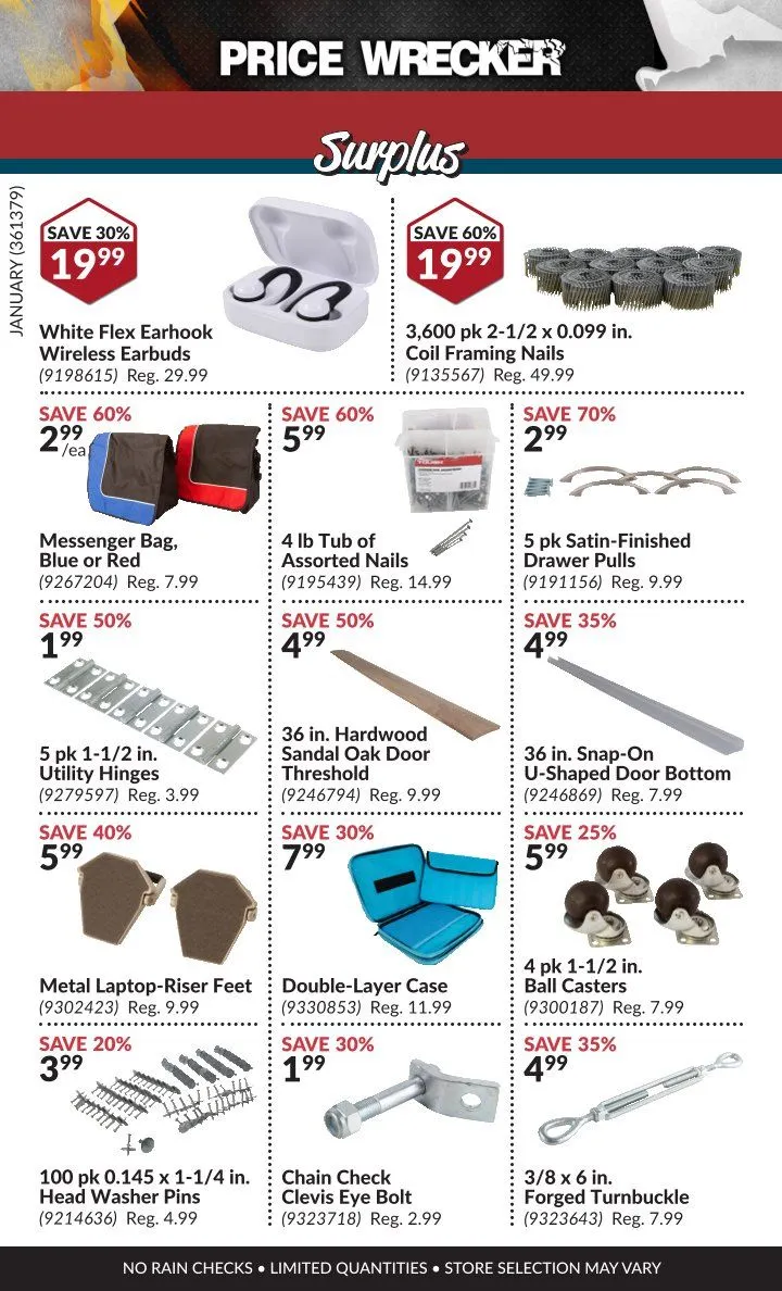 Princess Auto Sales from February 1 to January 31 2025 - flyer page 9