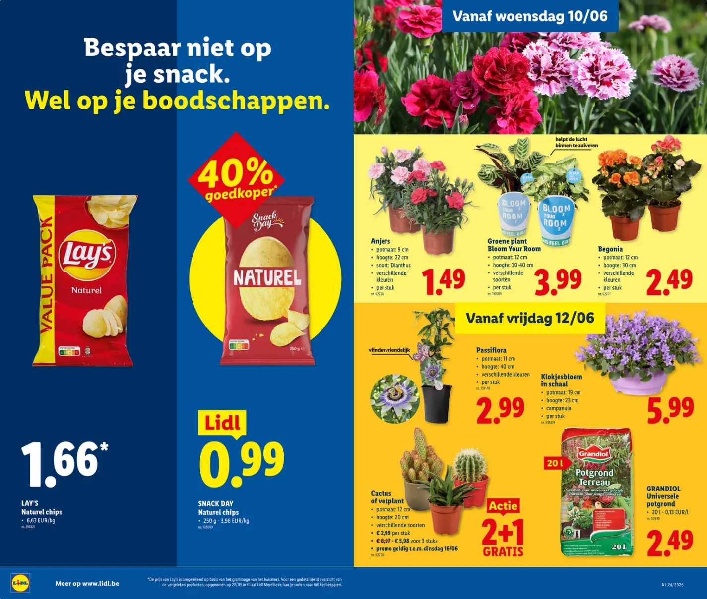 Lidl Folder van 8 juni tot 13 juni 2026 - folder pagina 9