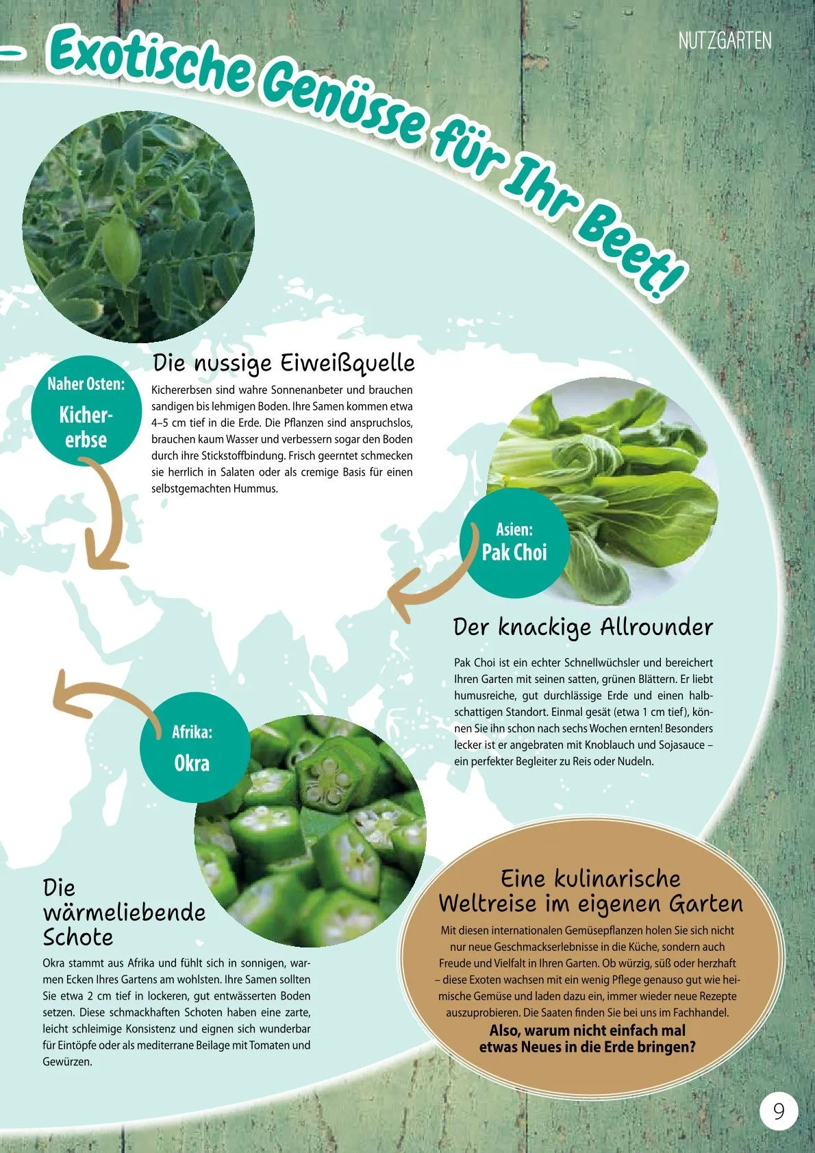 Kiebitzmarkt Magazine von 21. Februar bis 15. Februar 2025 - Prospekt seite 9