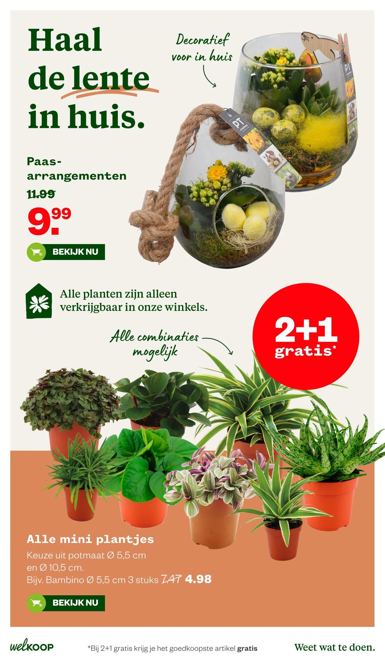 Welkoop folders van 30 maart tot 12 april 2026 - Folder pagina 9