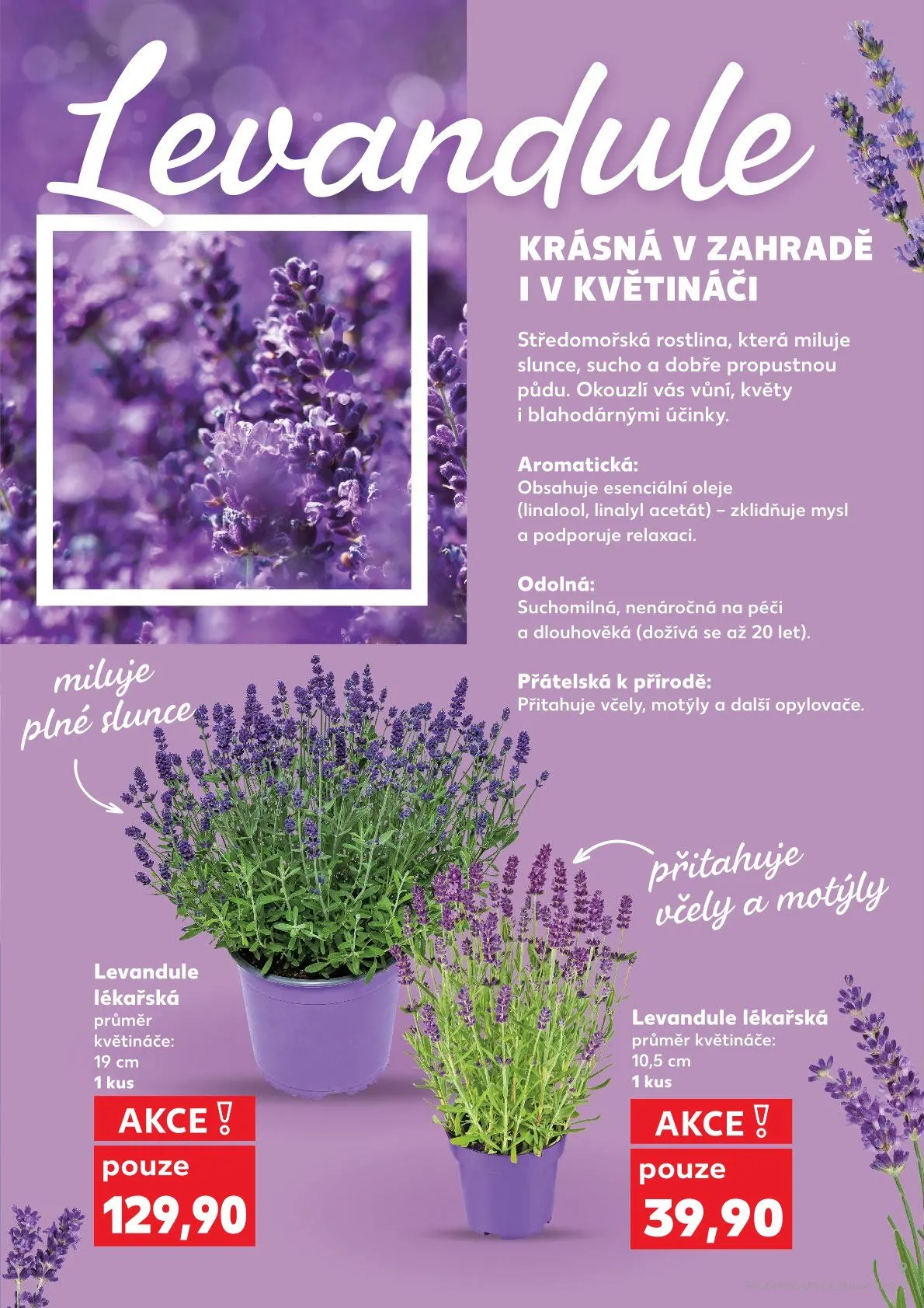 Kaufland RABATTE - 3. června 9. června 2026 - Page 9