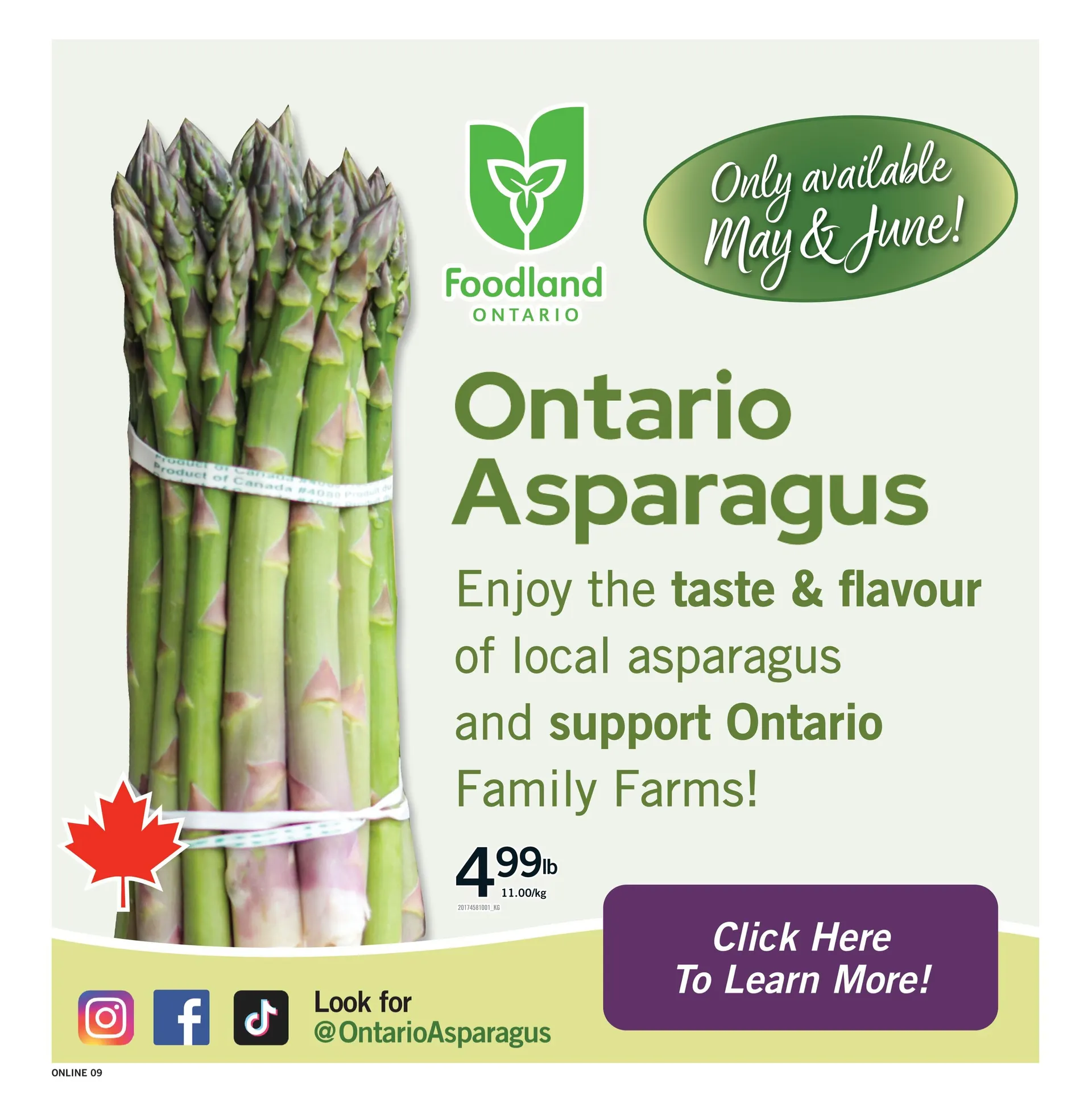 Fortinos Sales from May 21 to May 27 2026 - flyer page 9
