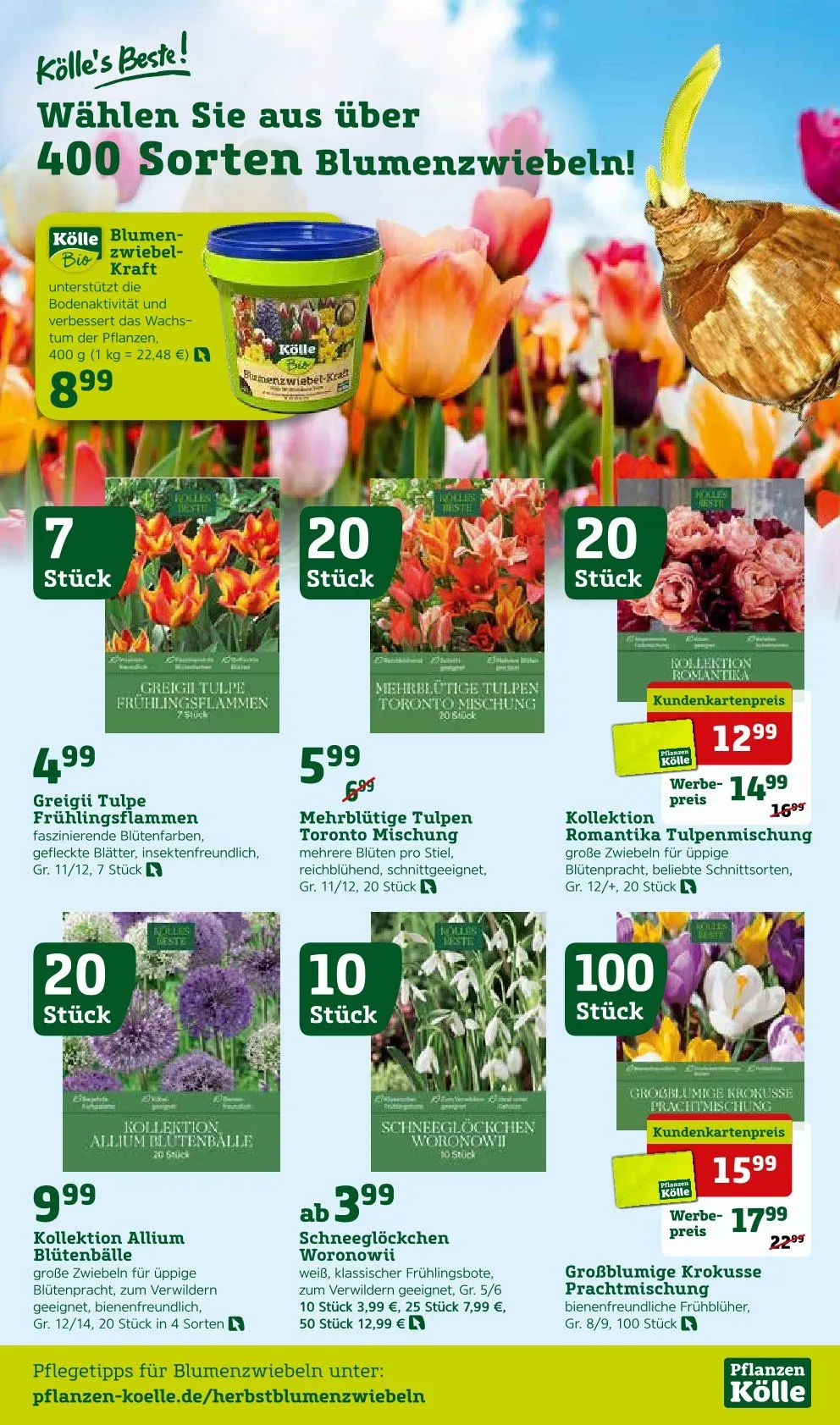  Prospekt Pflanzen-Kölle von 8. September bis 14. September 2025 - Prospekt seite 9