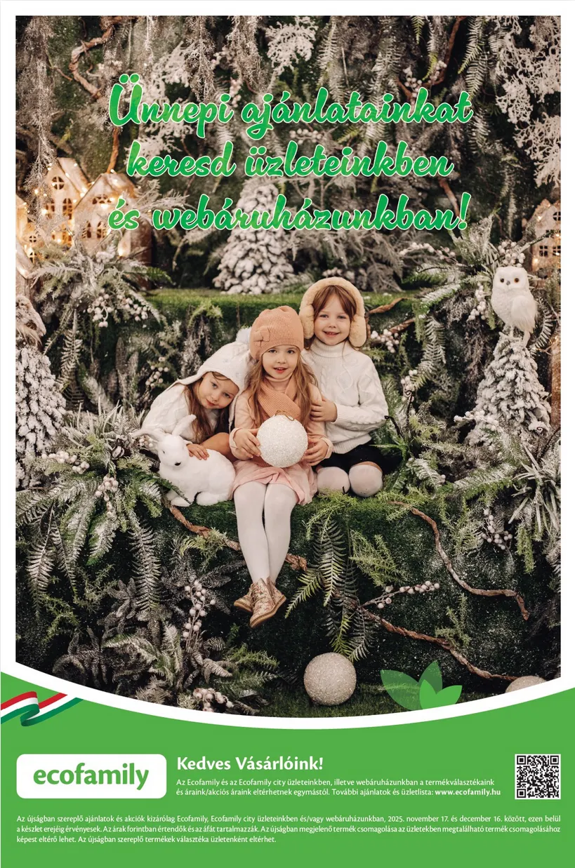 Katalógus EcoFamily november 17.-tól december 26.-ig 2025. - Oldal 9