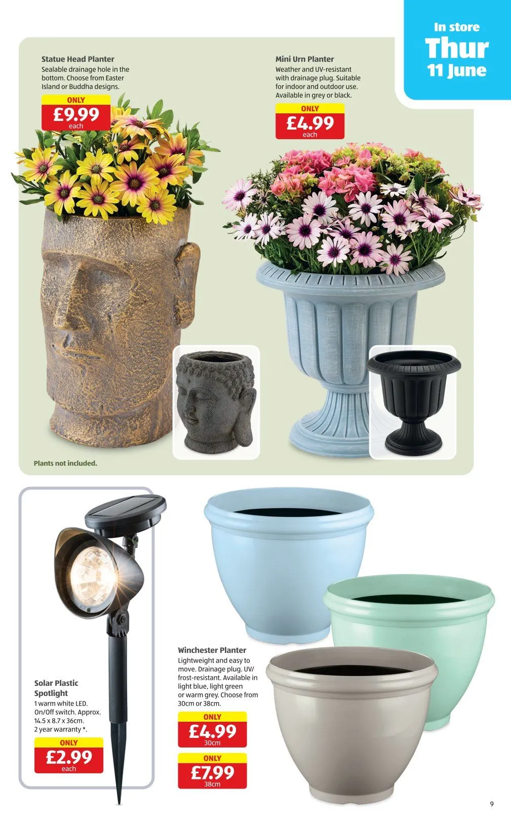 ALDI  from 4 June to 11 June 2026 - Catalogue Page 9