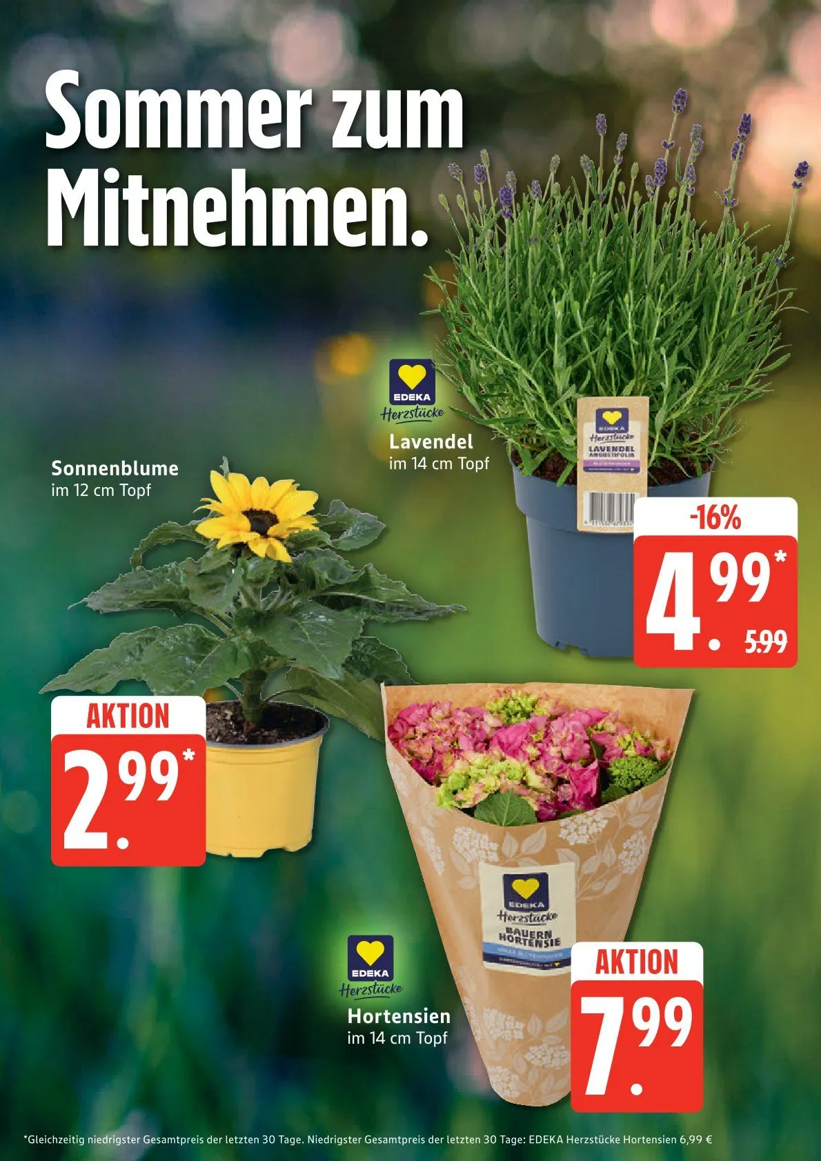 Edeka Angebote von 8. Juni bis 13. Juni 2026 - Prospekt seite 9