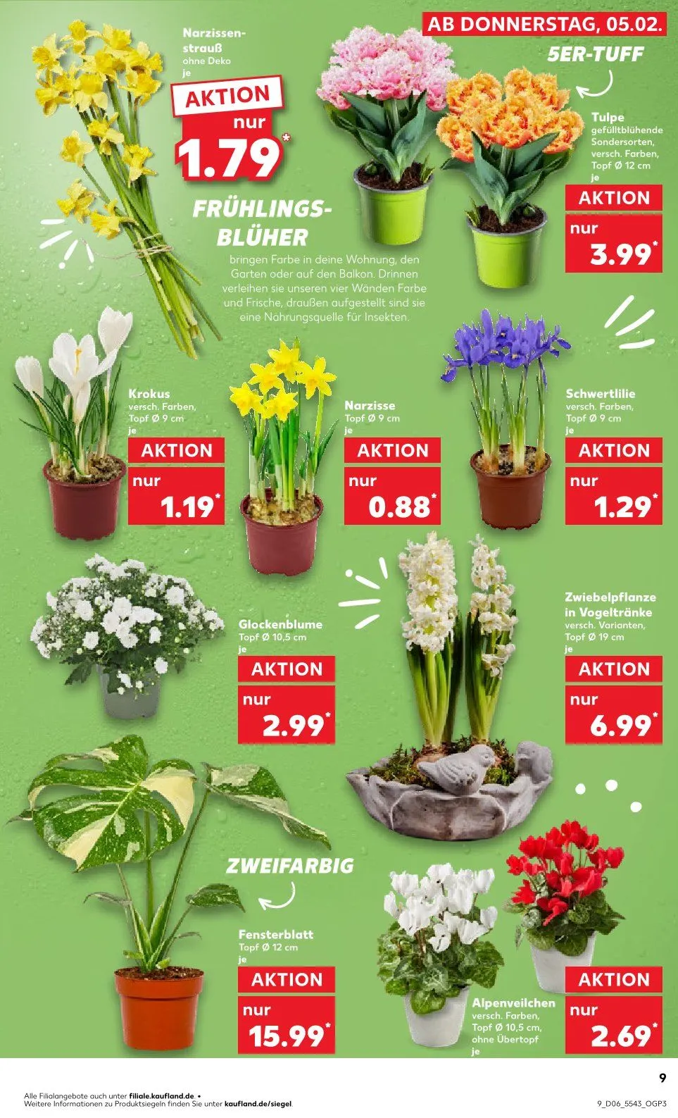 Kaufland Duitsland Folder van 8 februari tot 11 februari 2026 - Folder pagina 9