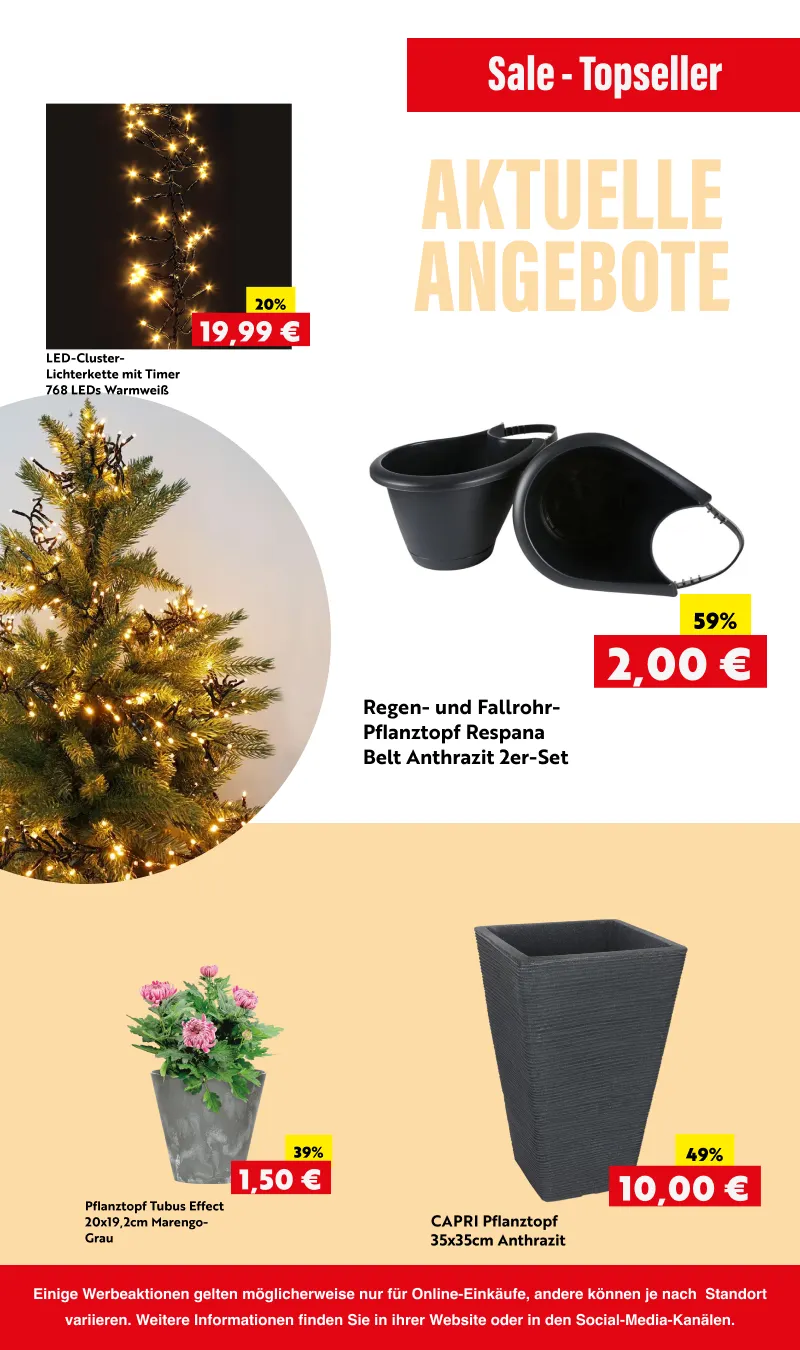 Rabatte von 17. Oktober bis 3. November 2025 - Prospekt seite 8
