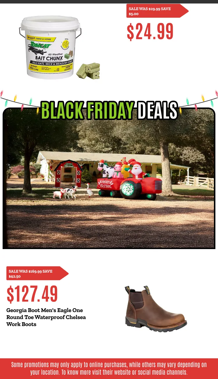 Weekly ad BLACK FRIDAY DEALS from November 21 to November 30 2025 - Page 8