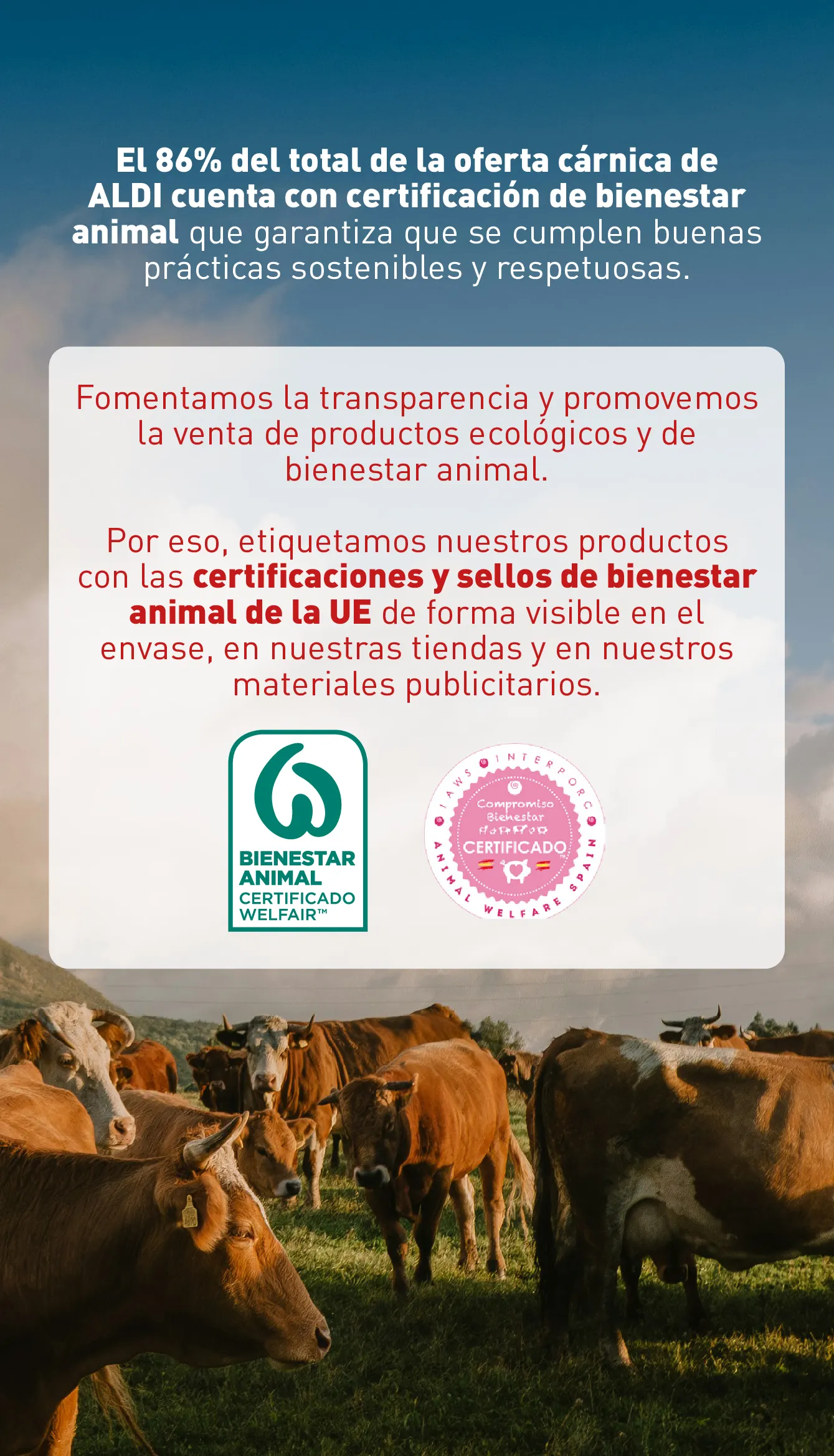 Catálogo de Aldi Ofertas 11 de septiembre al 17 de septiembre 2024 - Página 9