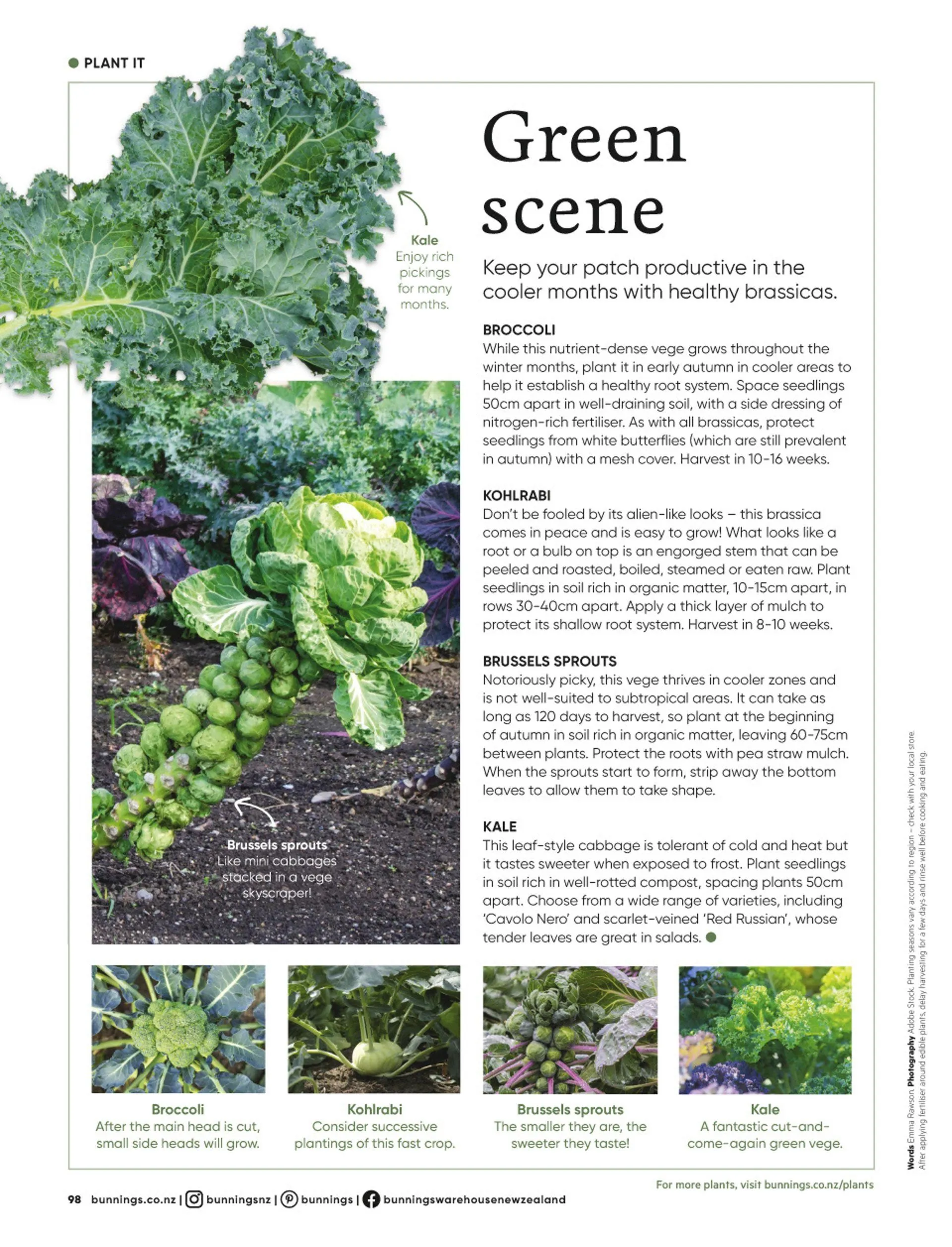 Bunnings weekly ads from 19 May to 31 July 2026 - Catalogue Page 98