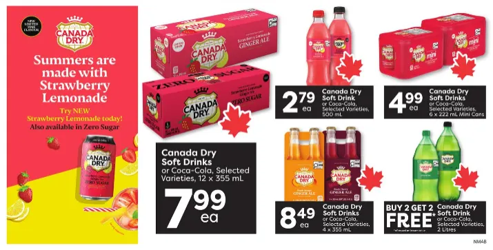 Nesters Market Sales from June 25 to July 1 2026 - flyer page 10