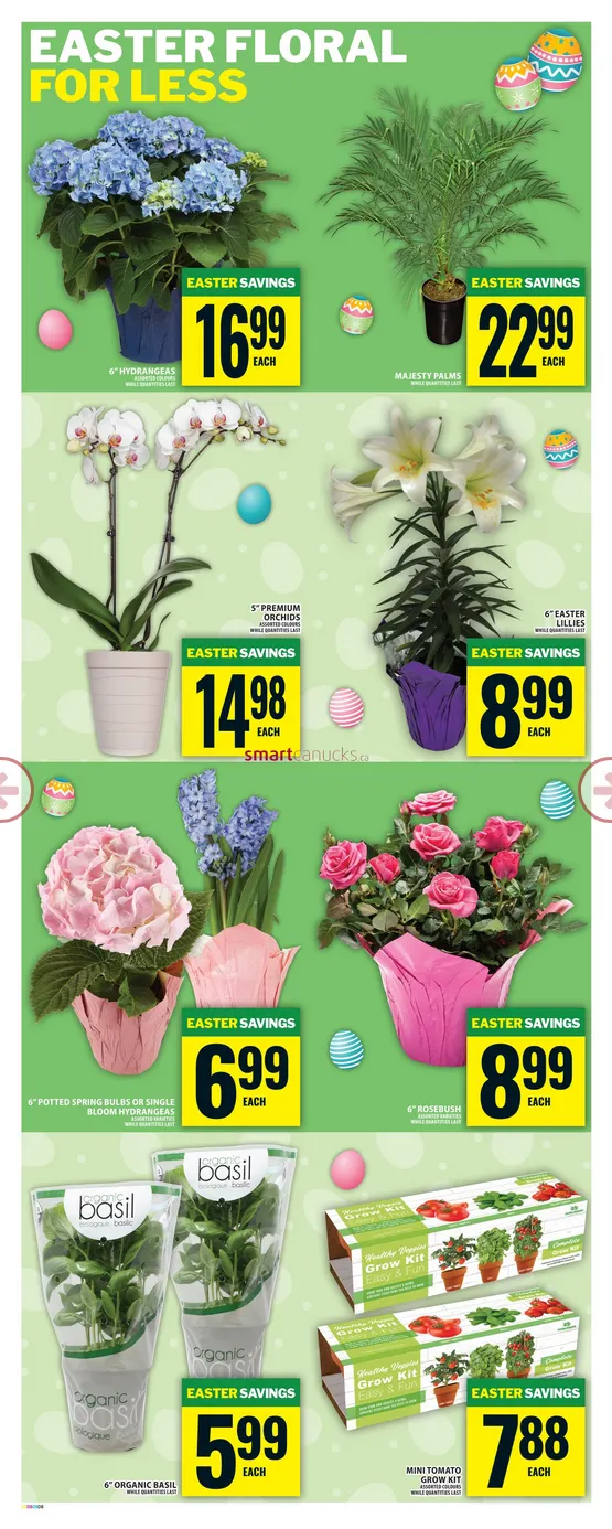 Food Basics Sales from March 26 to April 1 2026 - flyer page 10