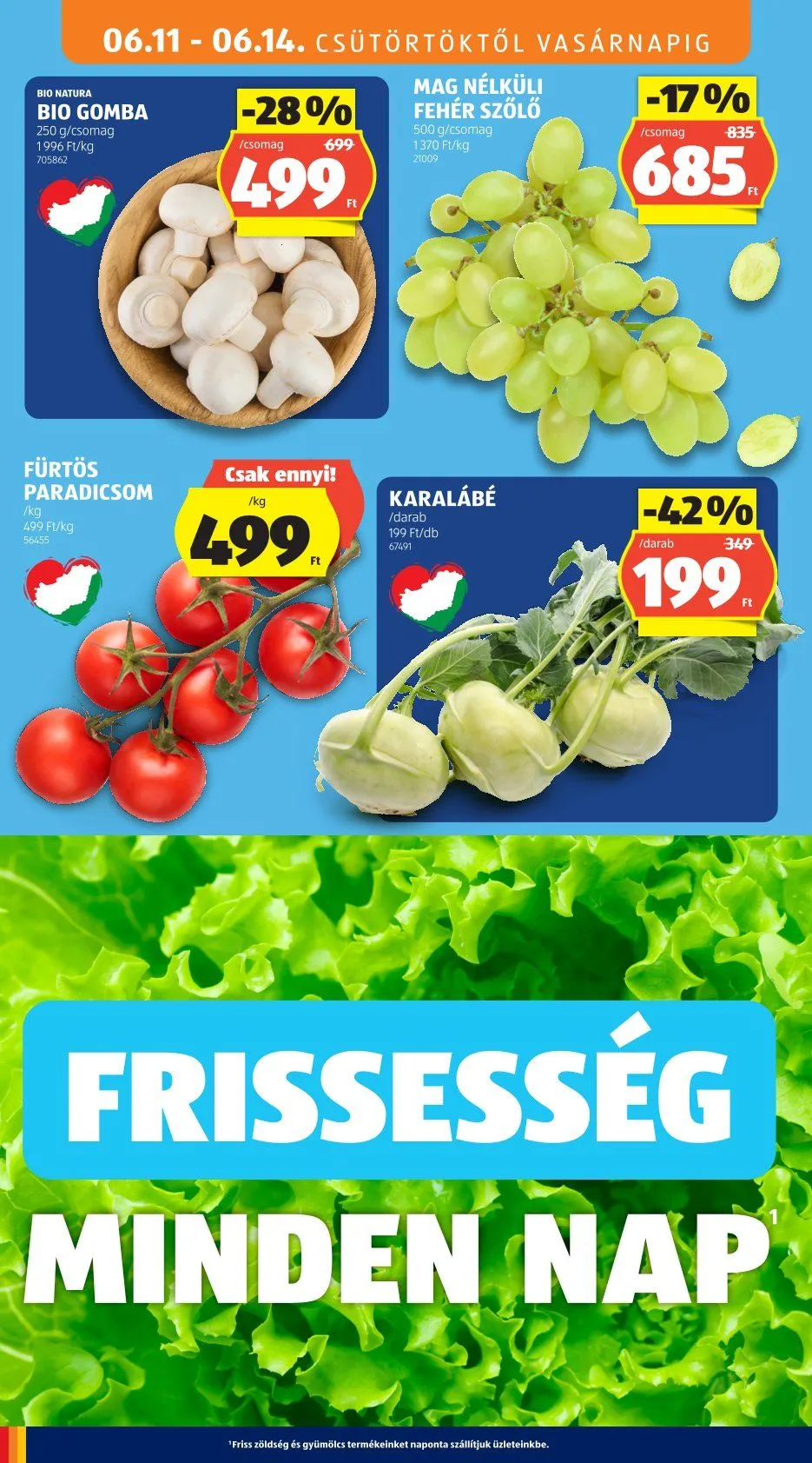 Katalógus  Aldi legfrissebb ajánlatai június 11.-tól június 14.-ig 2026. - Oldal 10