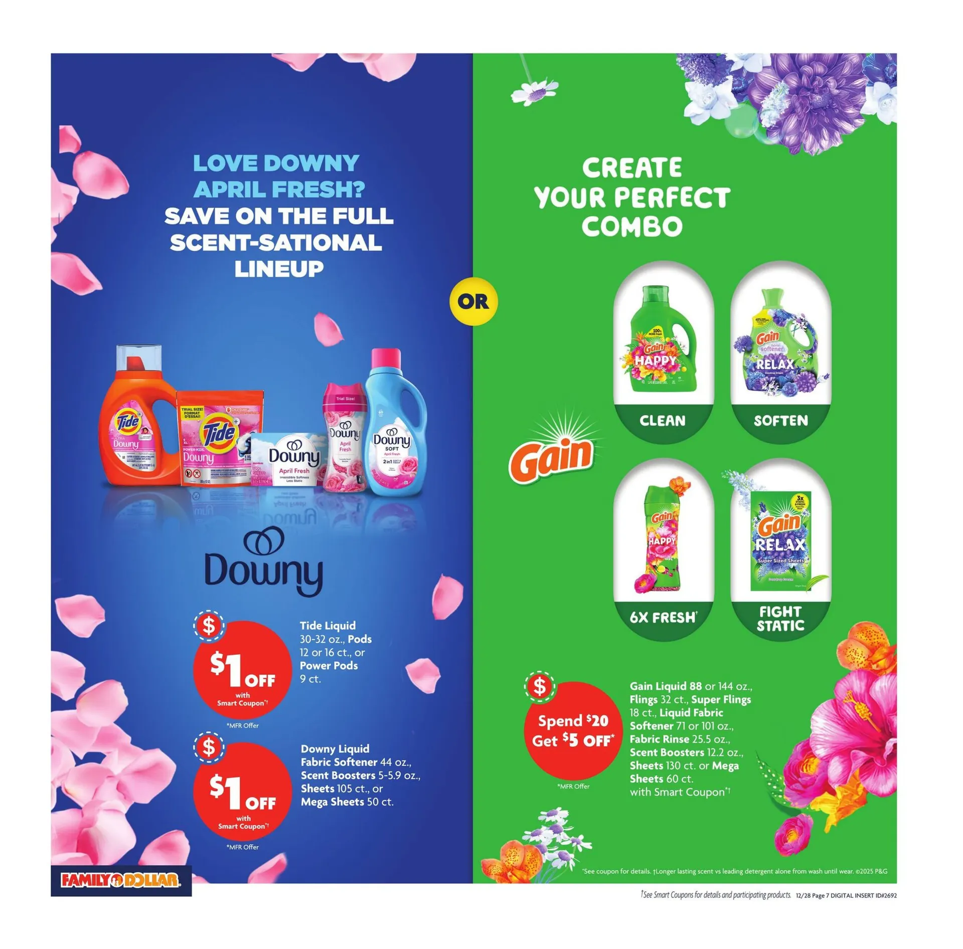 Weekly ad Family Dollar Sales from December 28 to January 3 2026 - Page 10
