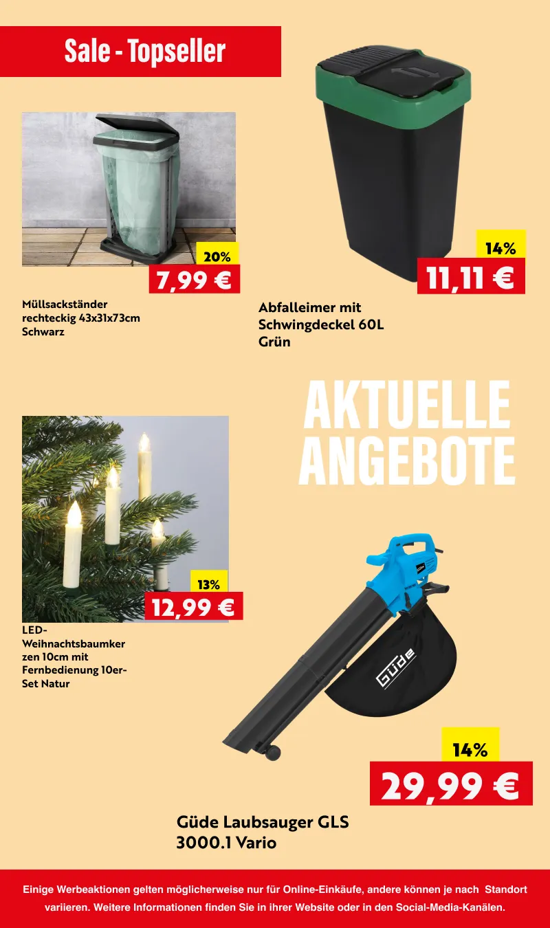 Rabatte von 17. Oktober bis 3. November 2025 - Prospekt seite 9